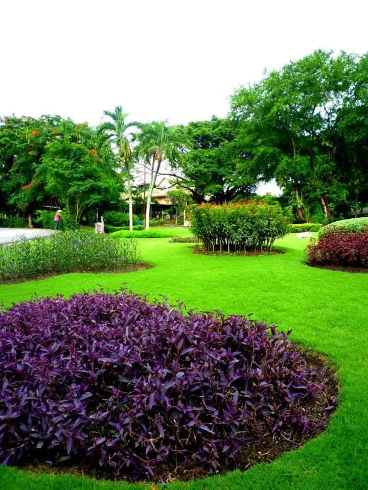 Muaklek Paradise Resort