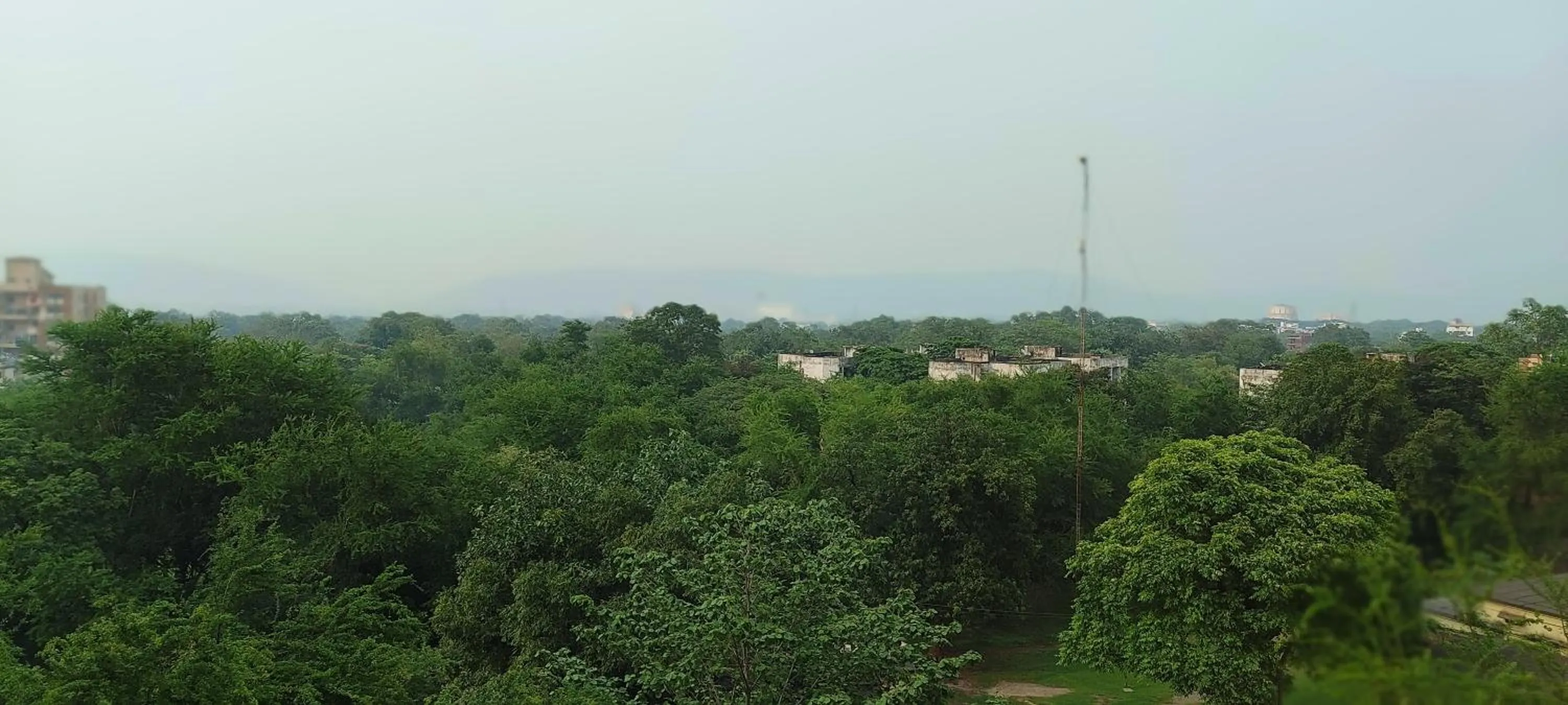 Natural landscape in Vivanta Jamshedpur, Golmuri