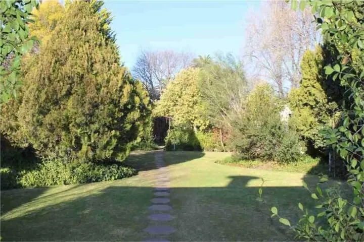 Garden in The Gallery