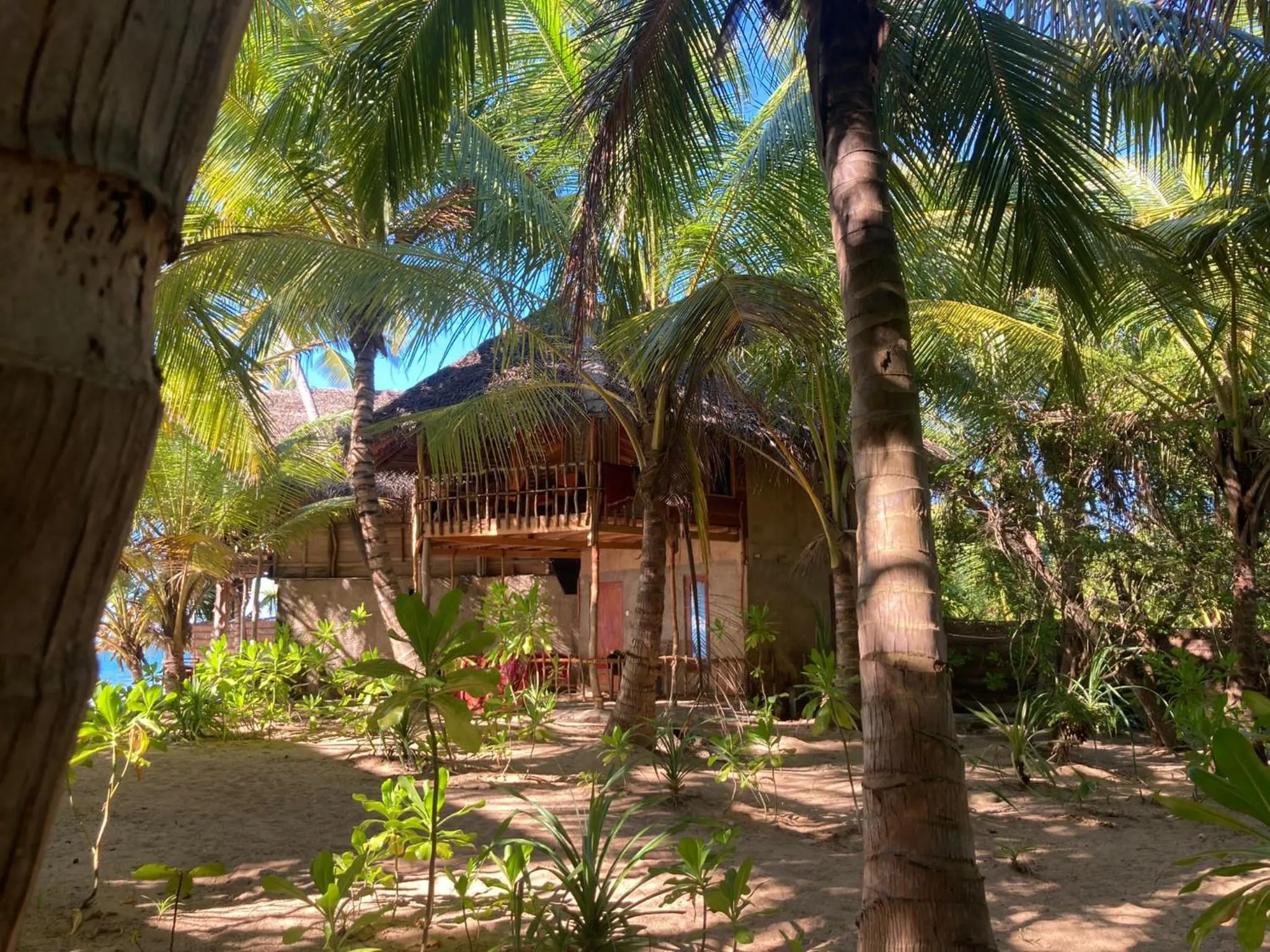 Double Room with Sea View in The Alpha Monkey hotel & Tree house