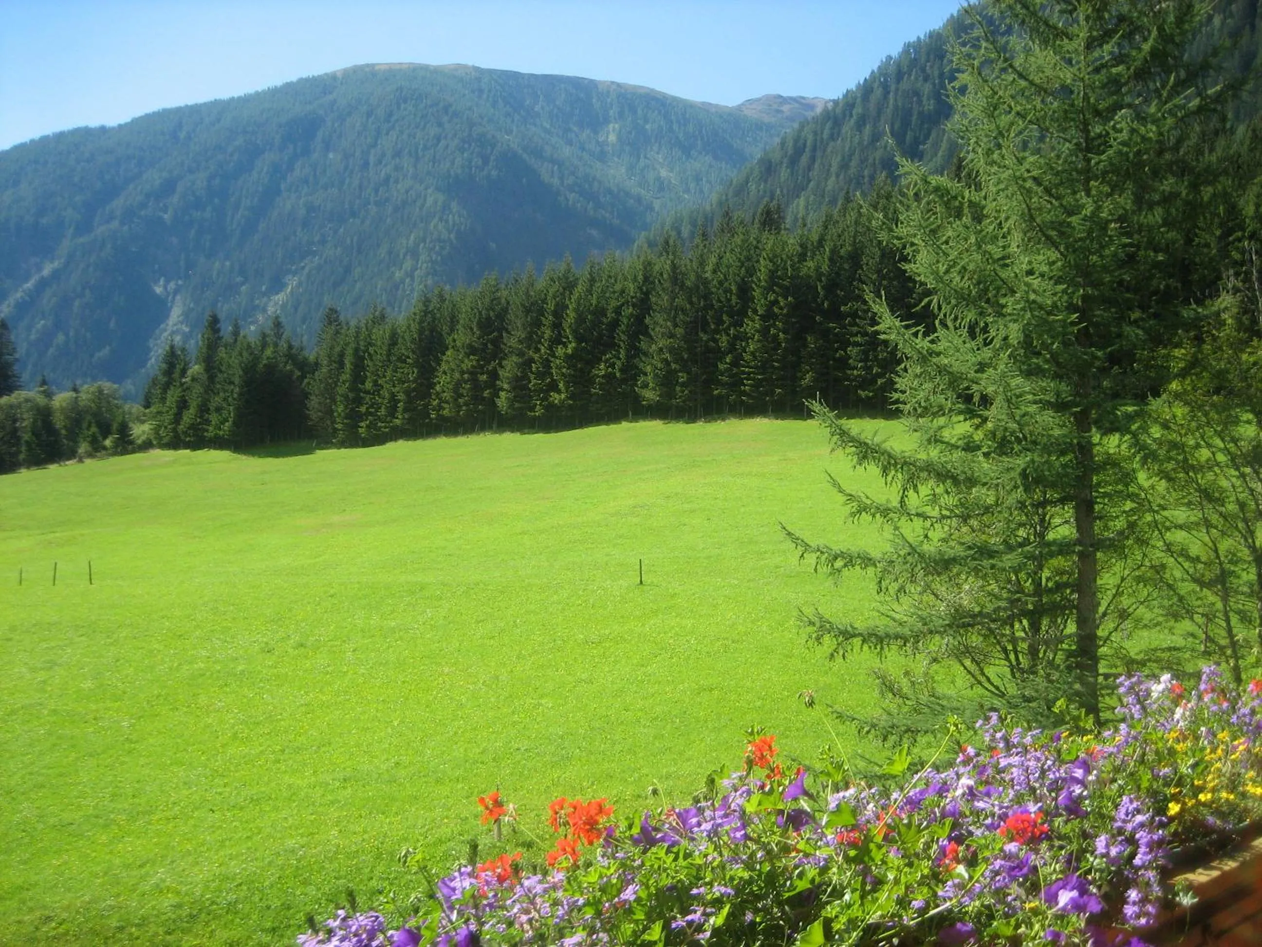 Garden in Alpenhotel Badmeister