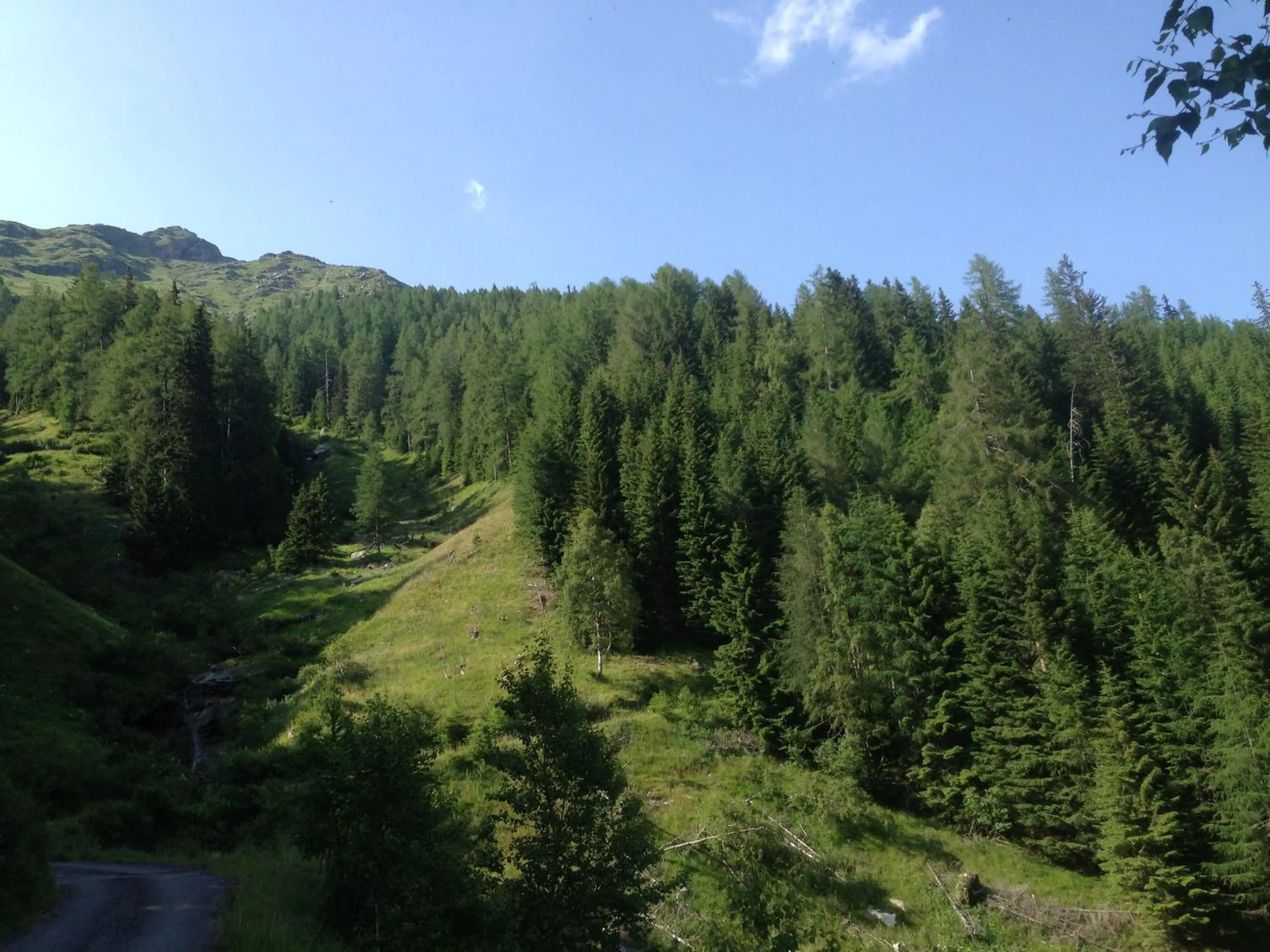 Area and facilities in Alpenhotel Badmeister