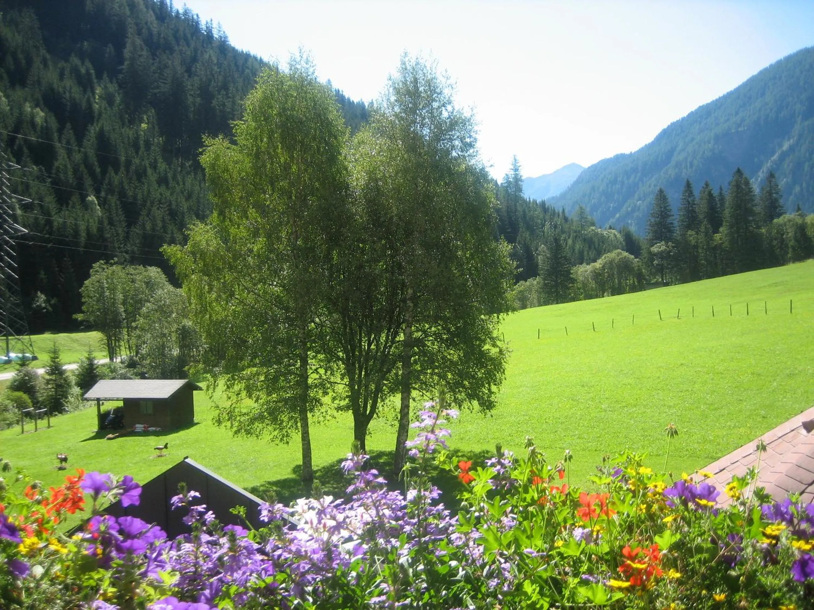 Garden in Alpenhotel Badmeister
