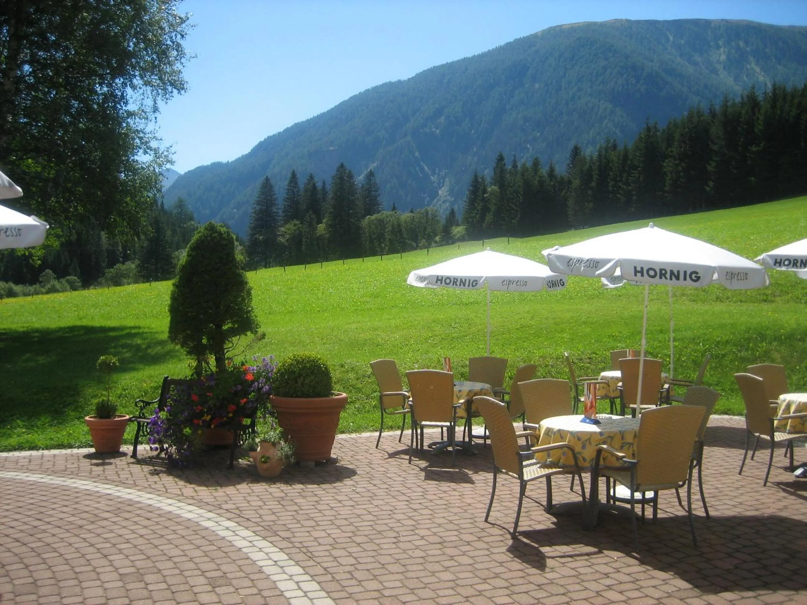 Garden in Alpenhotel Badmeister