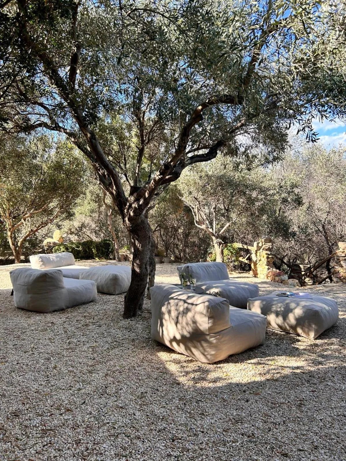 Garden in Sa Guardia de Ferricci