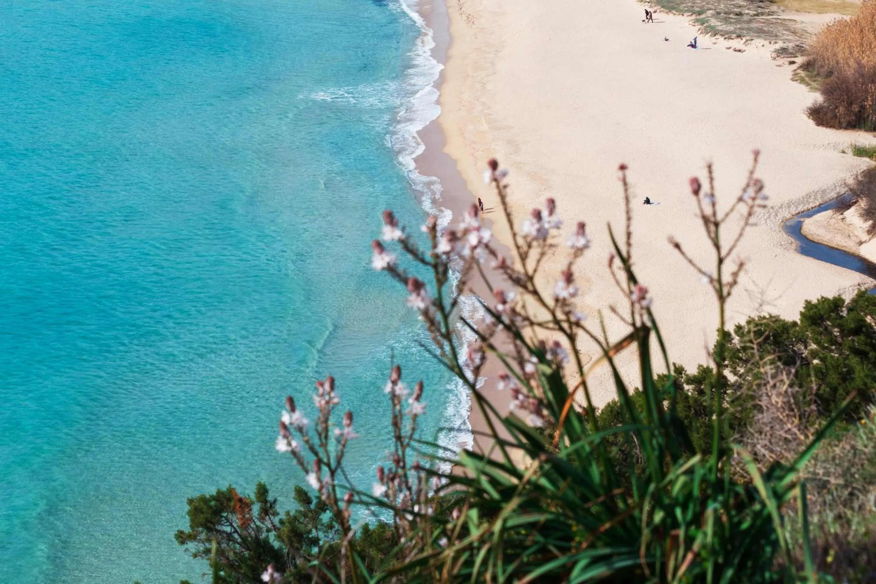 Beach in Sa Guardia de Ferricci
