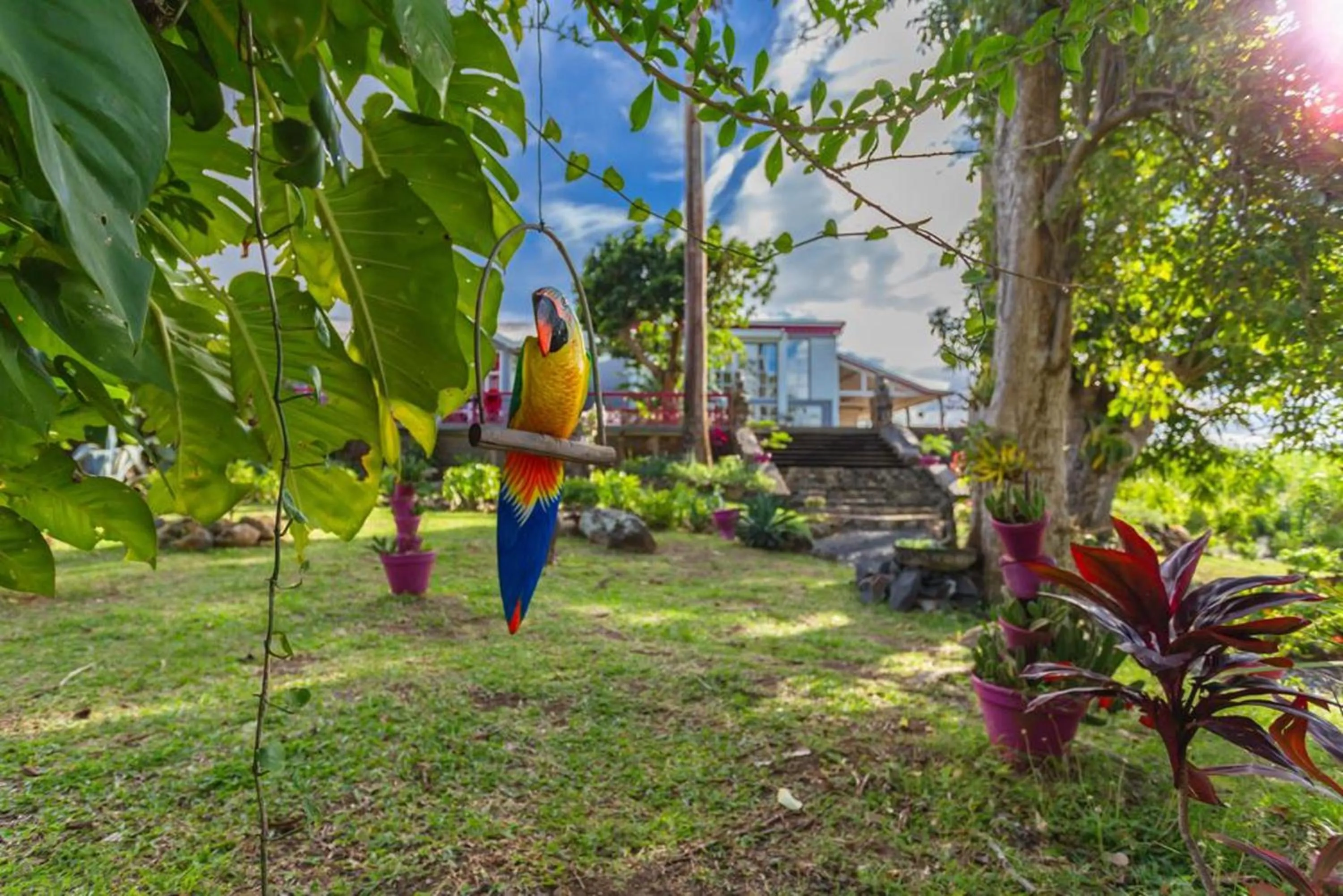 Garden in Villa élégante à Sainte-Rose avec piscine privée
