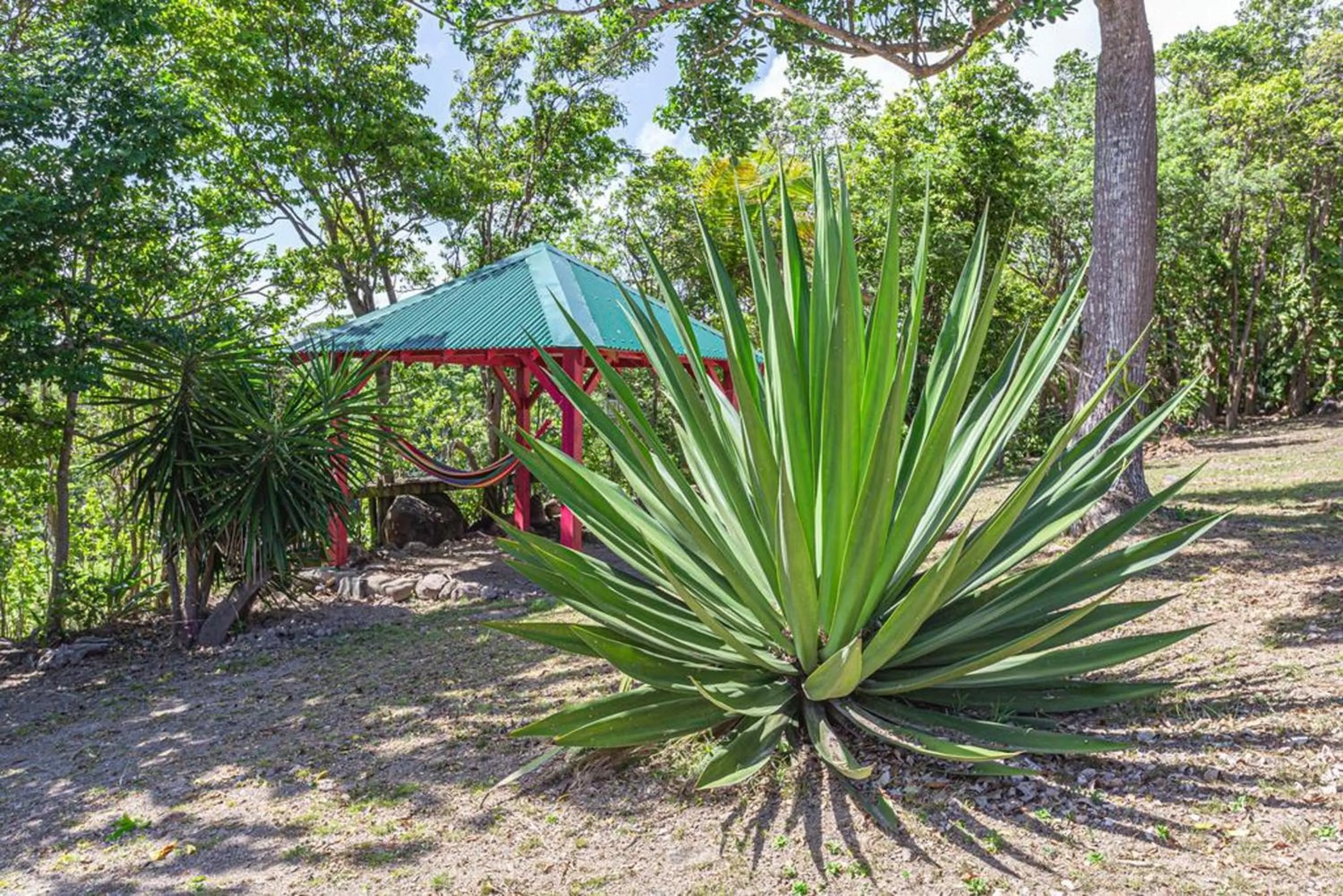 Garden in Villa élégante à Sainte-Rose avec piscine privée