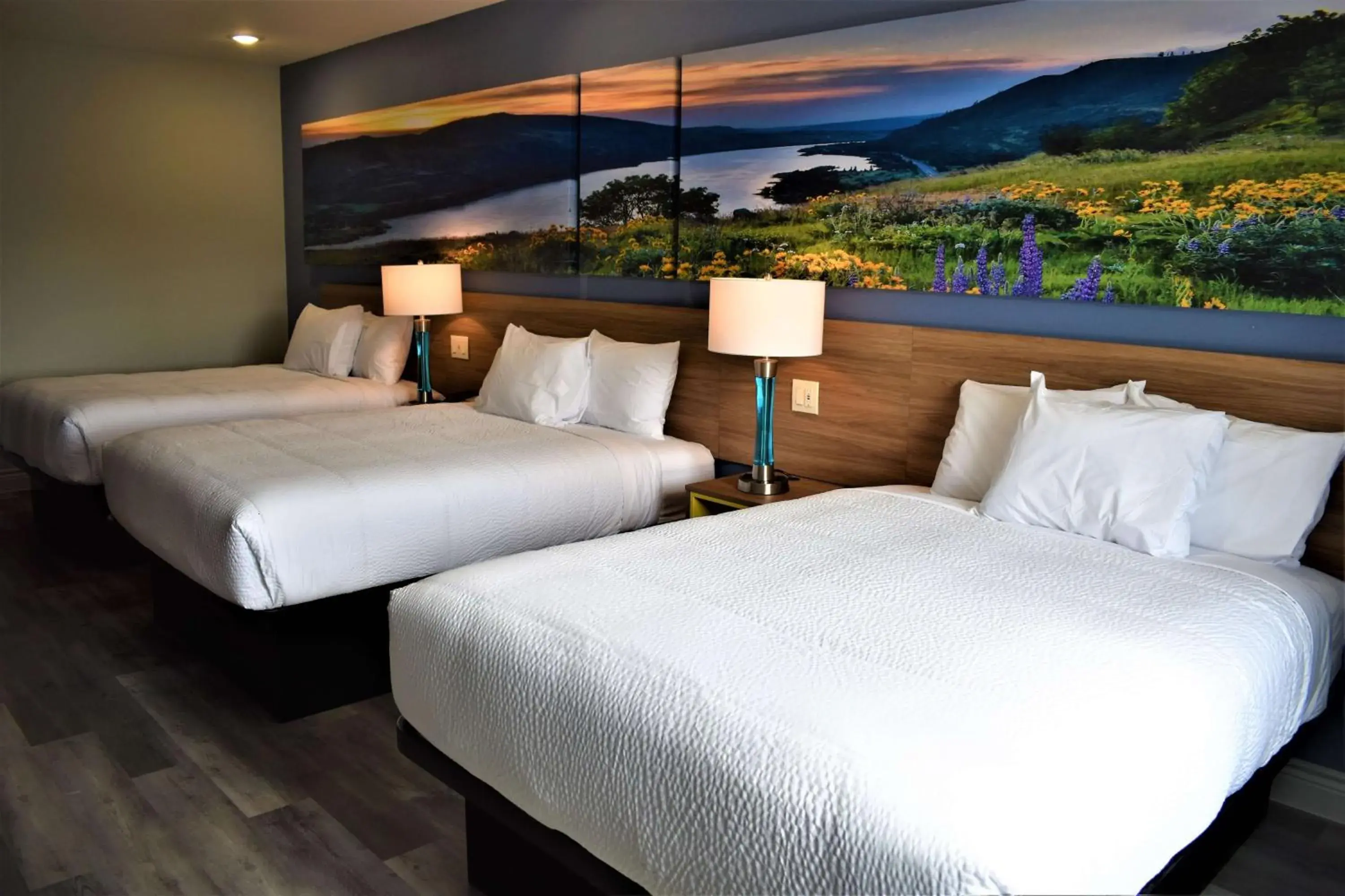 Photo of the whole room, Bed in Days Inn & Suites by Wyndham Downtown/University of Houston Photo of the whole room, Bed in Days Inn & Suites by Wyndham Downtown/University of Houston