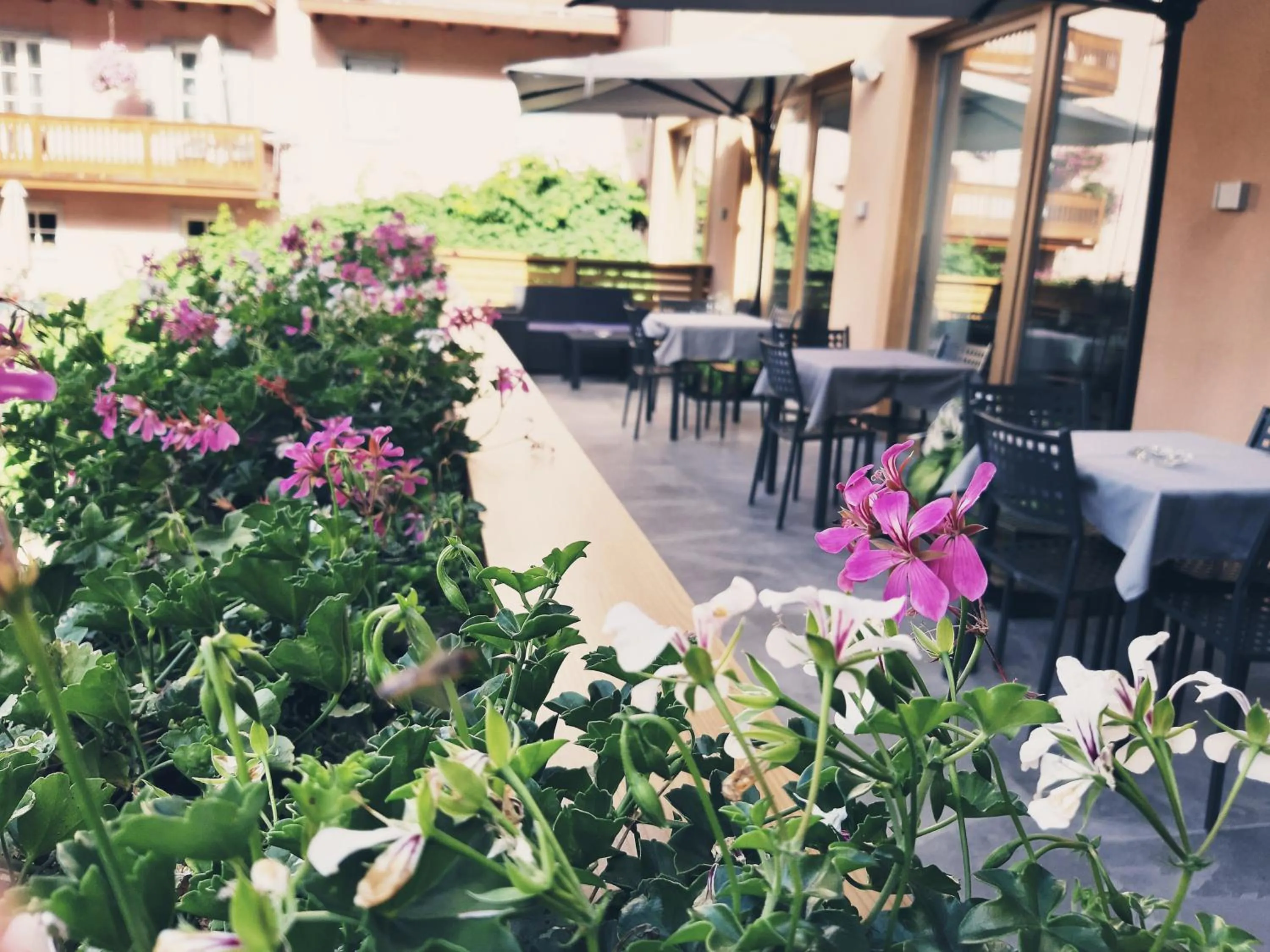 Balcony/Terrace in Hotel Paganella