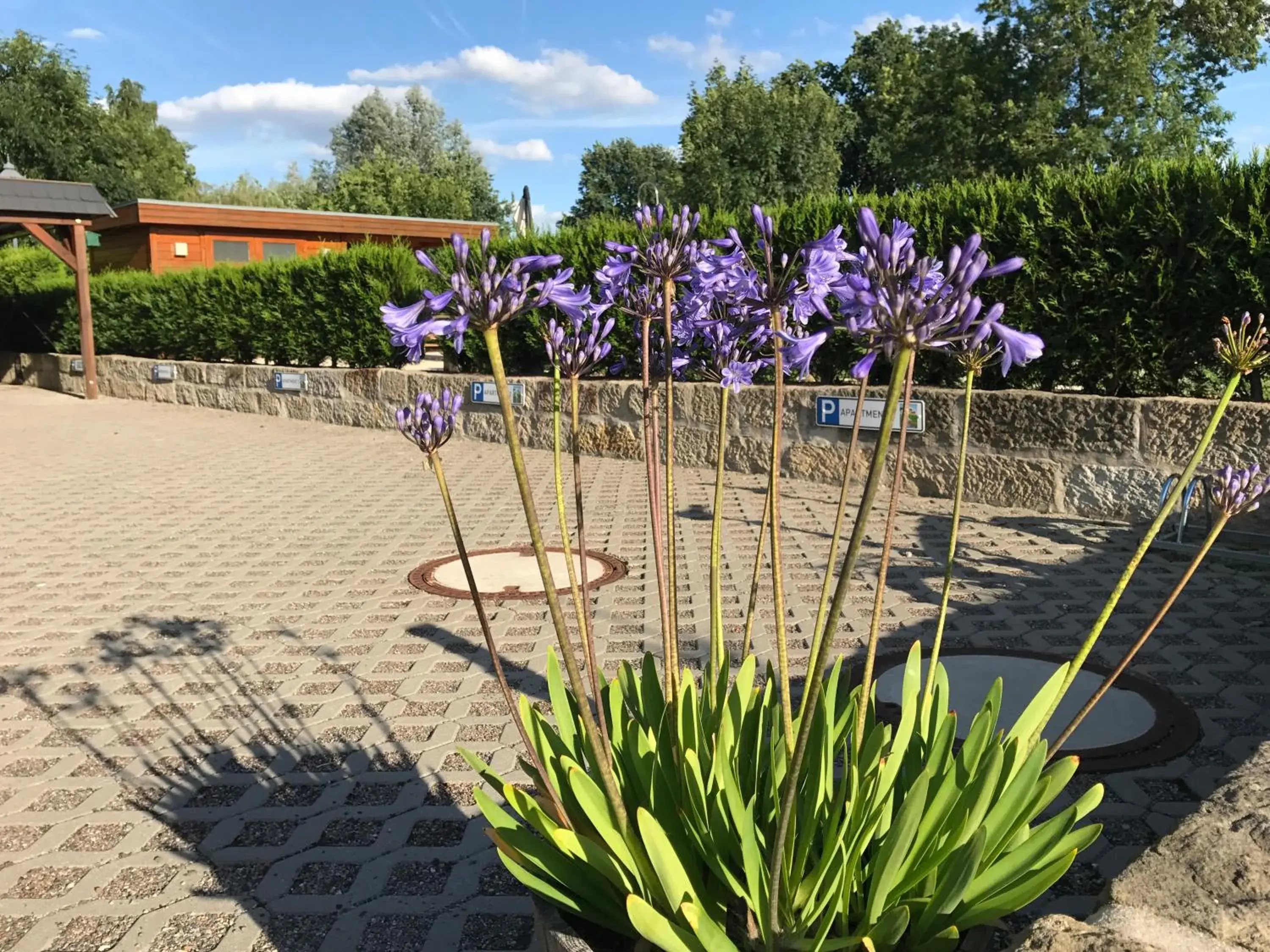 Kaitzbach-Idylle Kaitzbach-Idylle