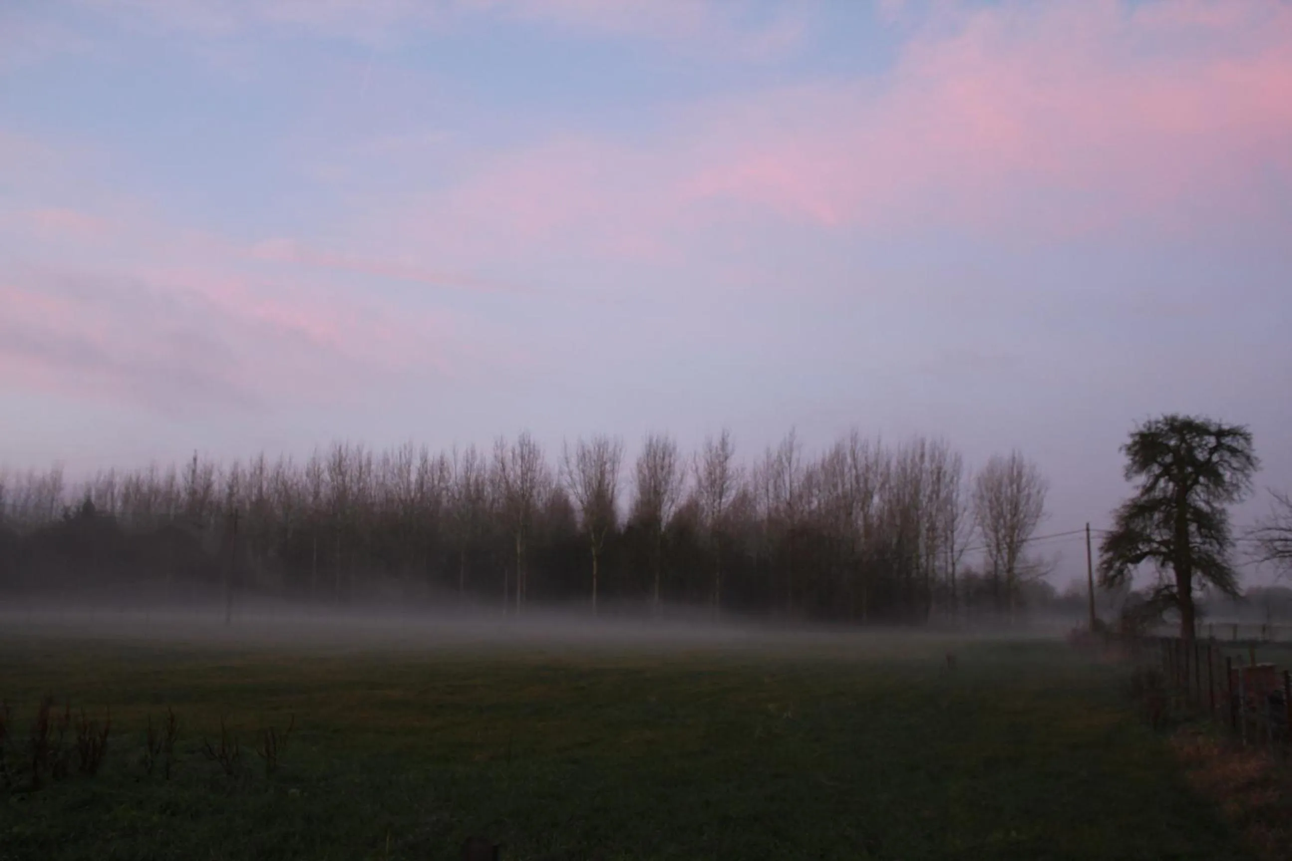 Natural landscape in B&B Leybeeckhof