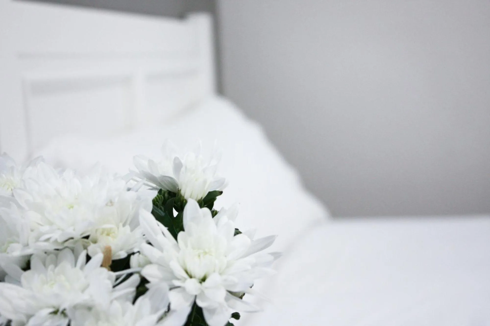 Decorative detail, Bed in Hotel Castilla Torrijos