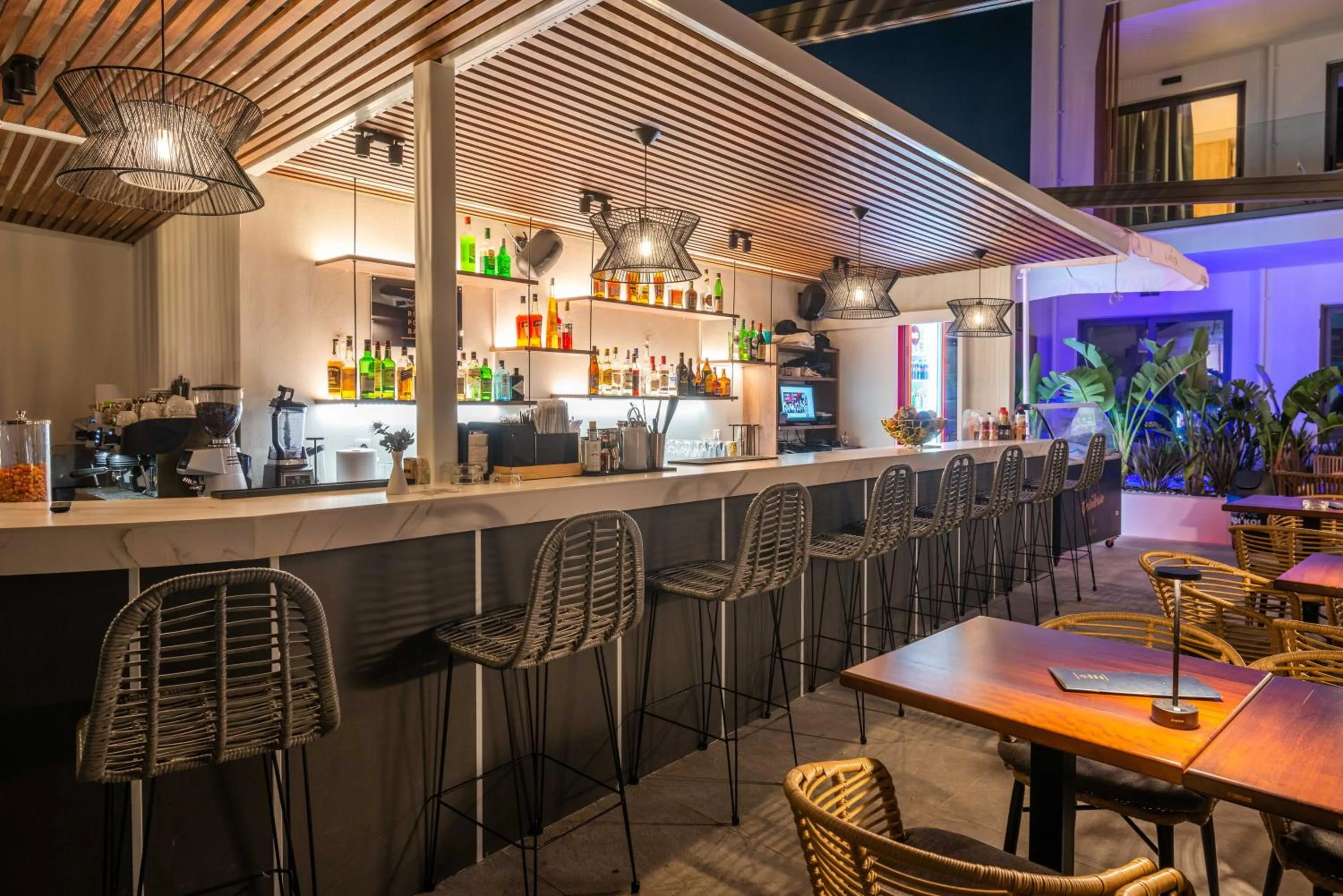 Night in Summer Dream