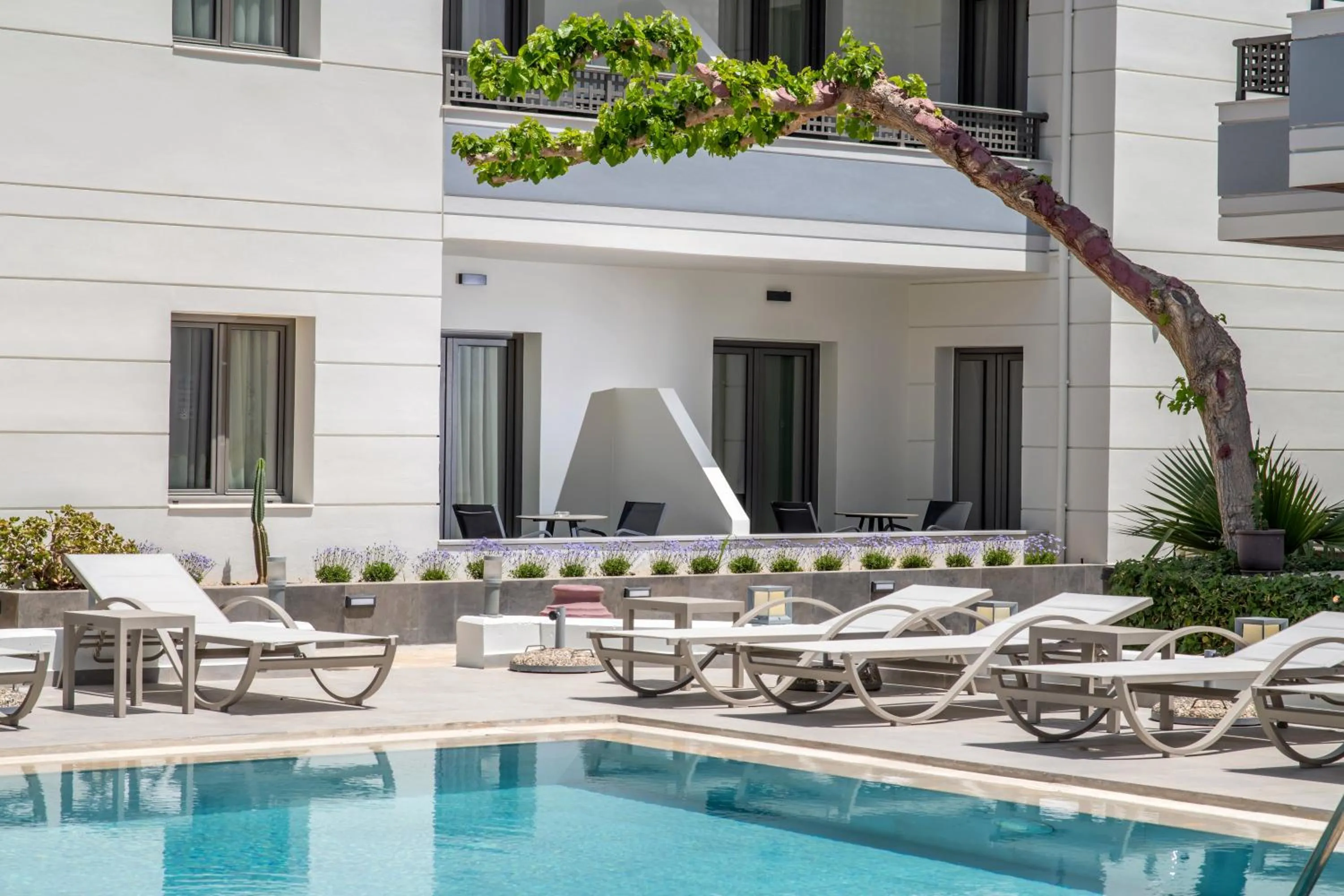 Property building in Summer Dream