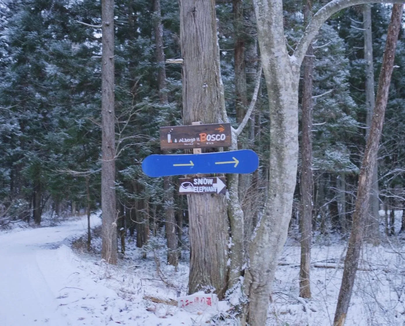 Property logo or sign in Snow Elephant