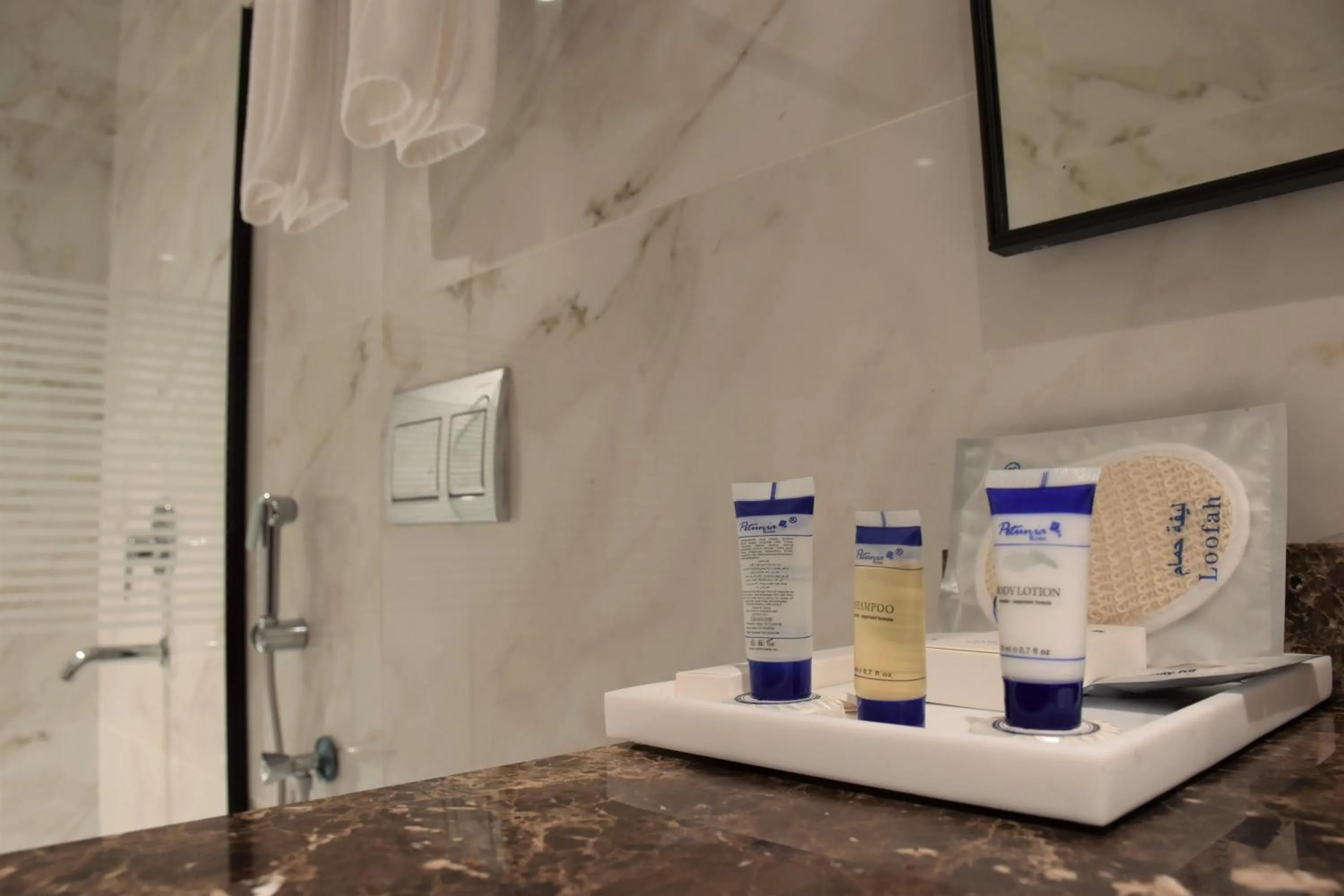 Bathroom in Midan Hotel & Suites Al Aziziya