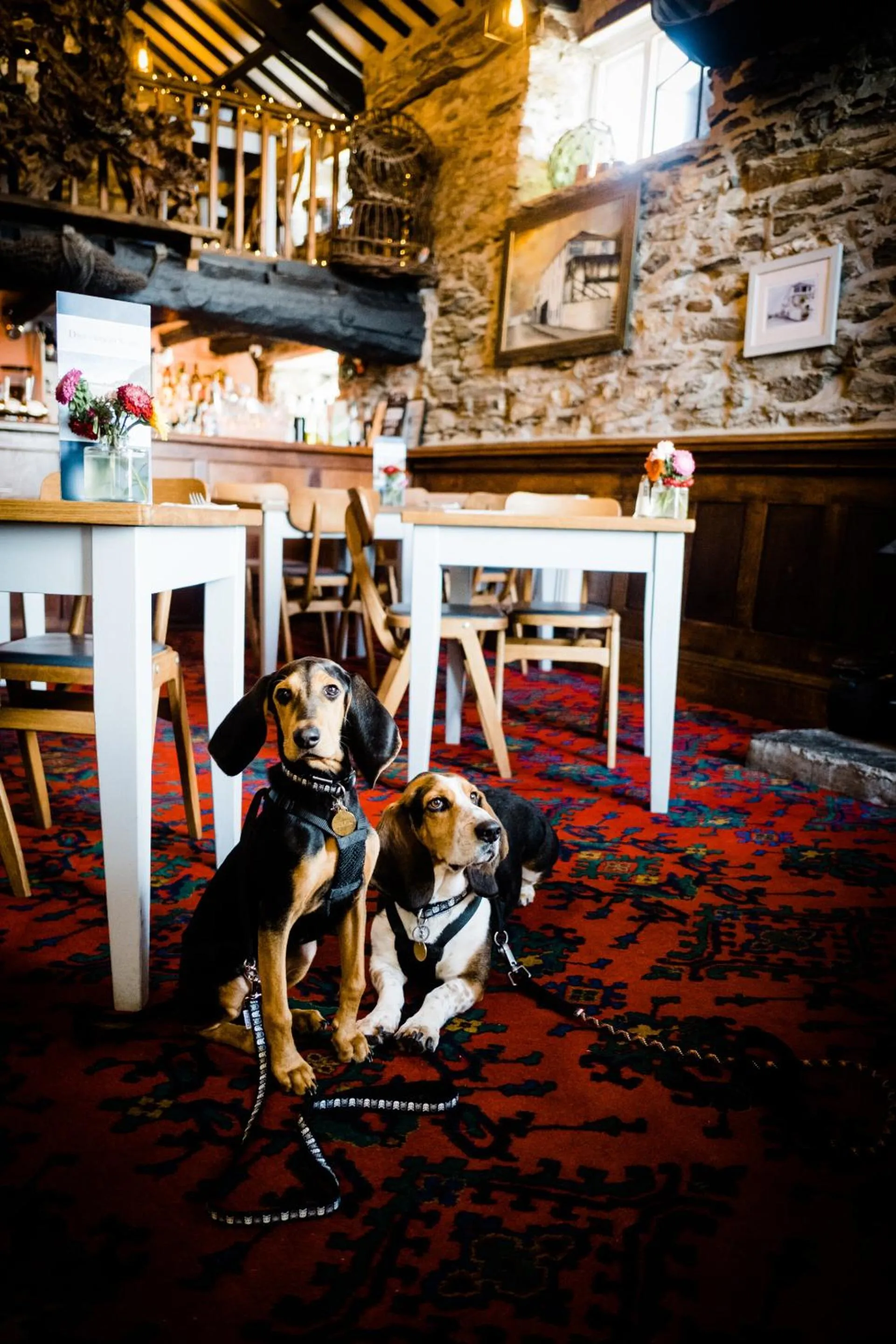 Other in Driftwood Spars