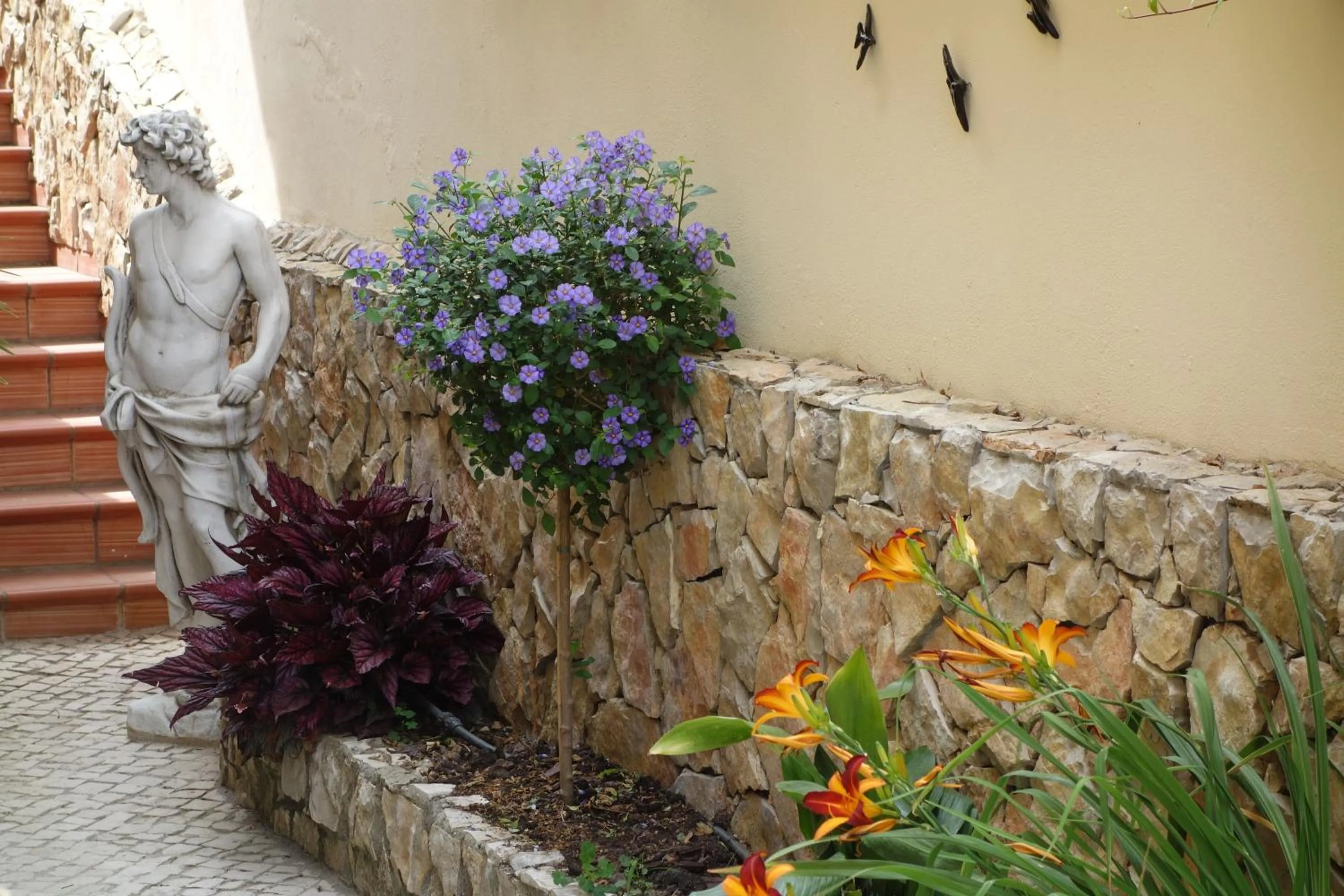 On site in Vila Atlântida