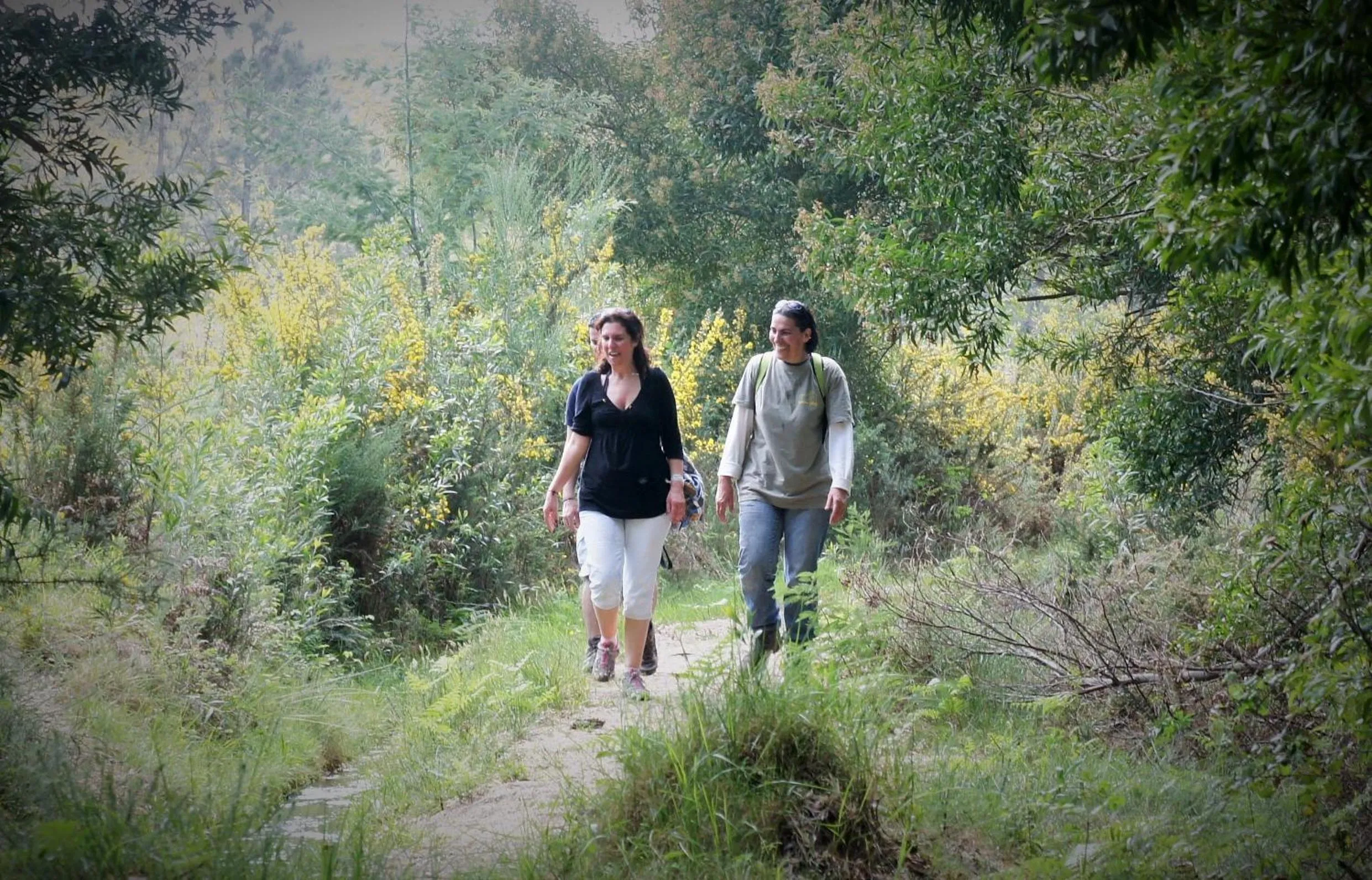 Day in Quintinha D`Arga