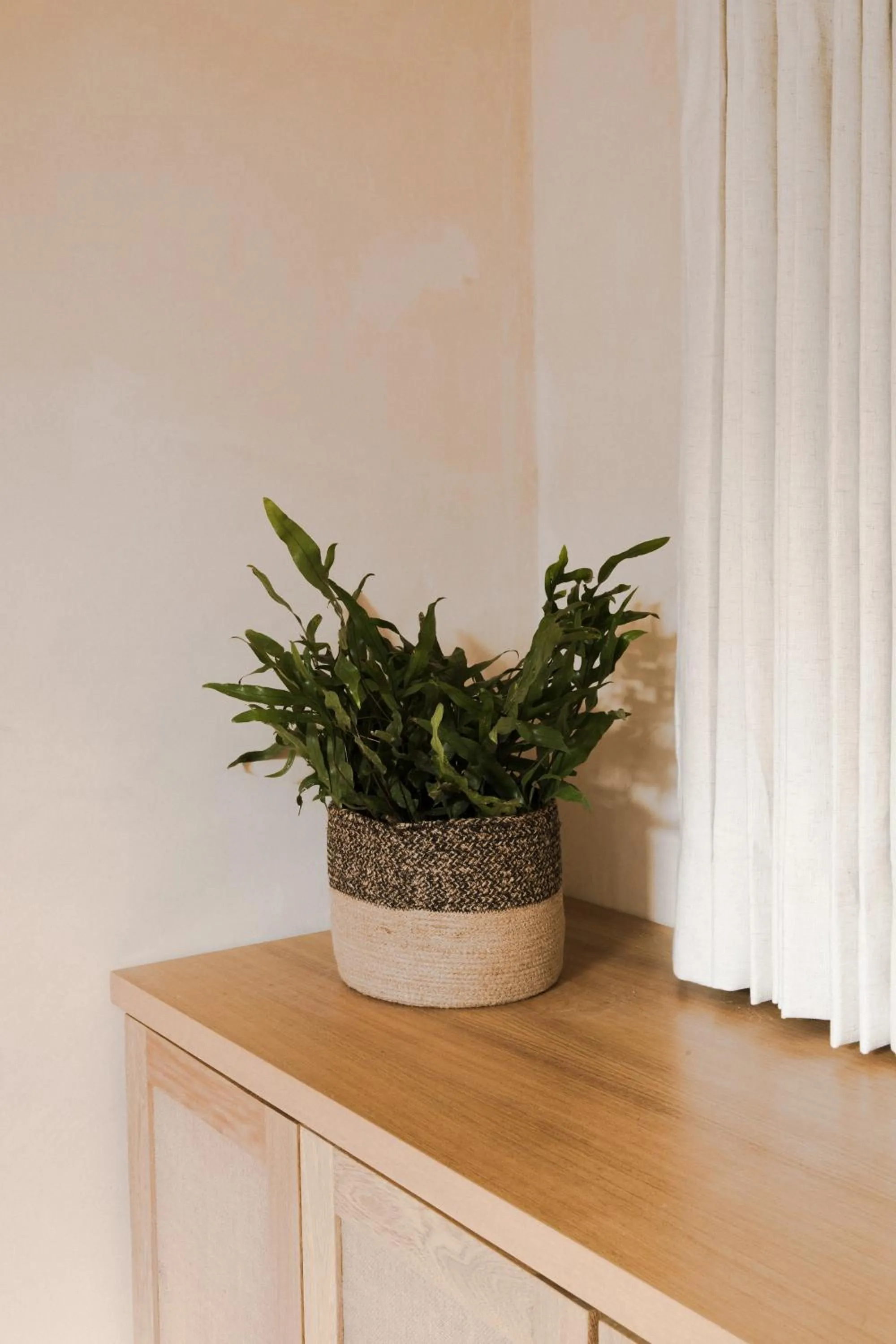 Decorative detail in Casa Montore by Barrio Mexico