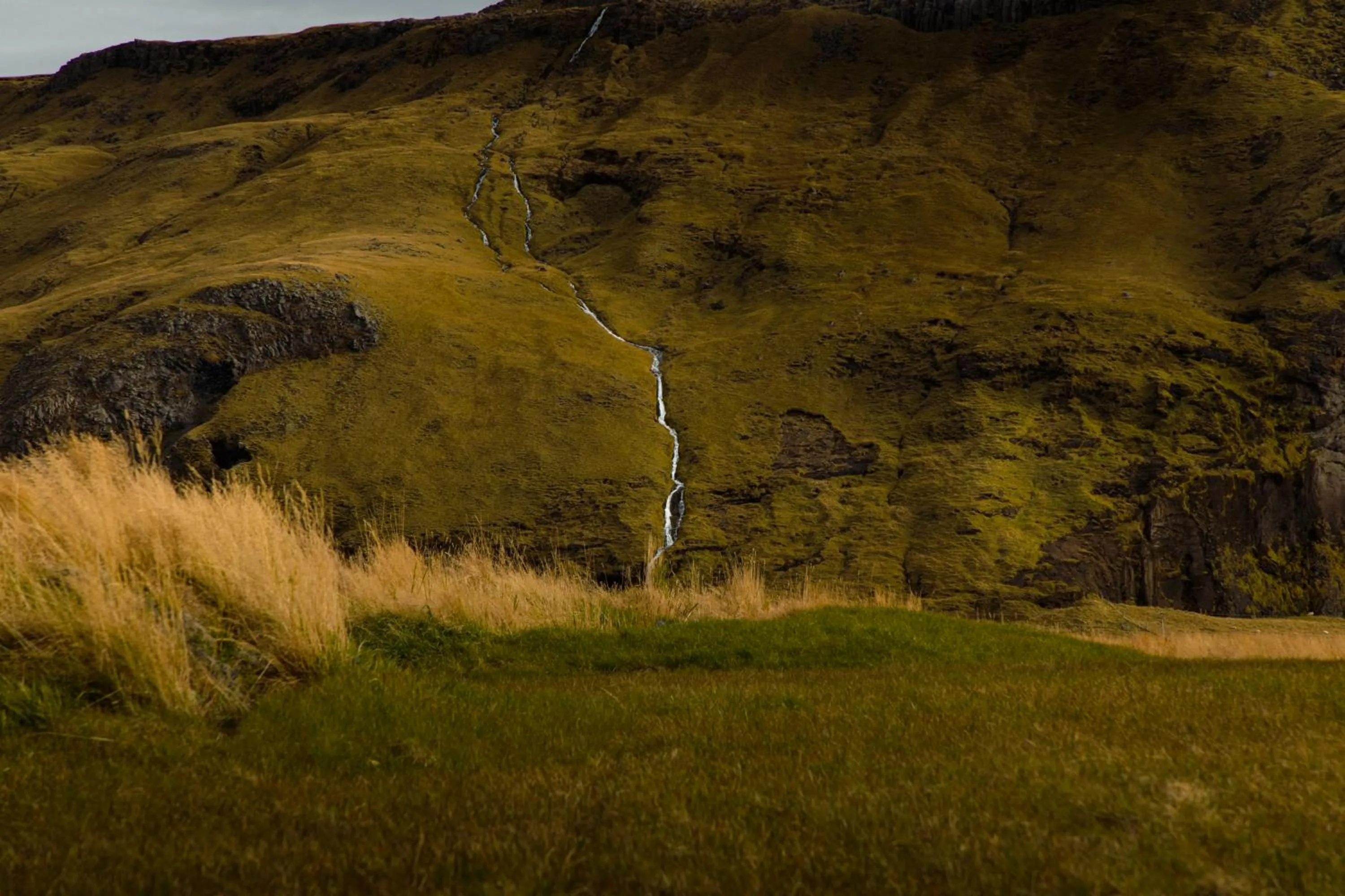 Spring in Seljalandsfoss Horizons