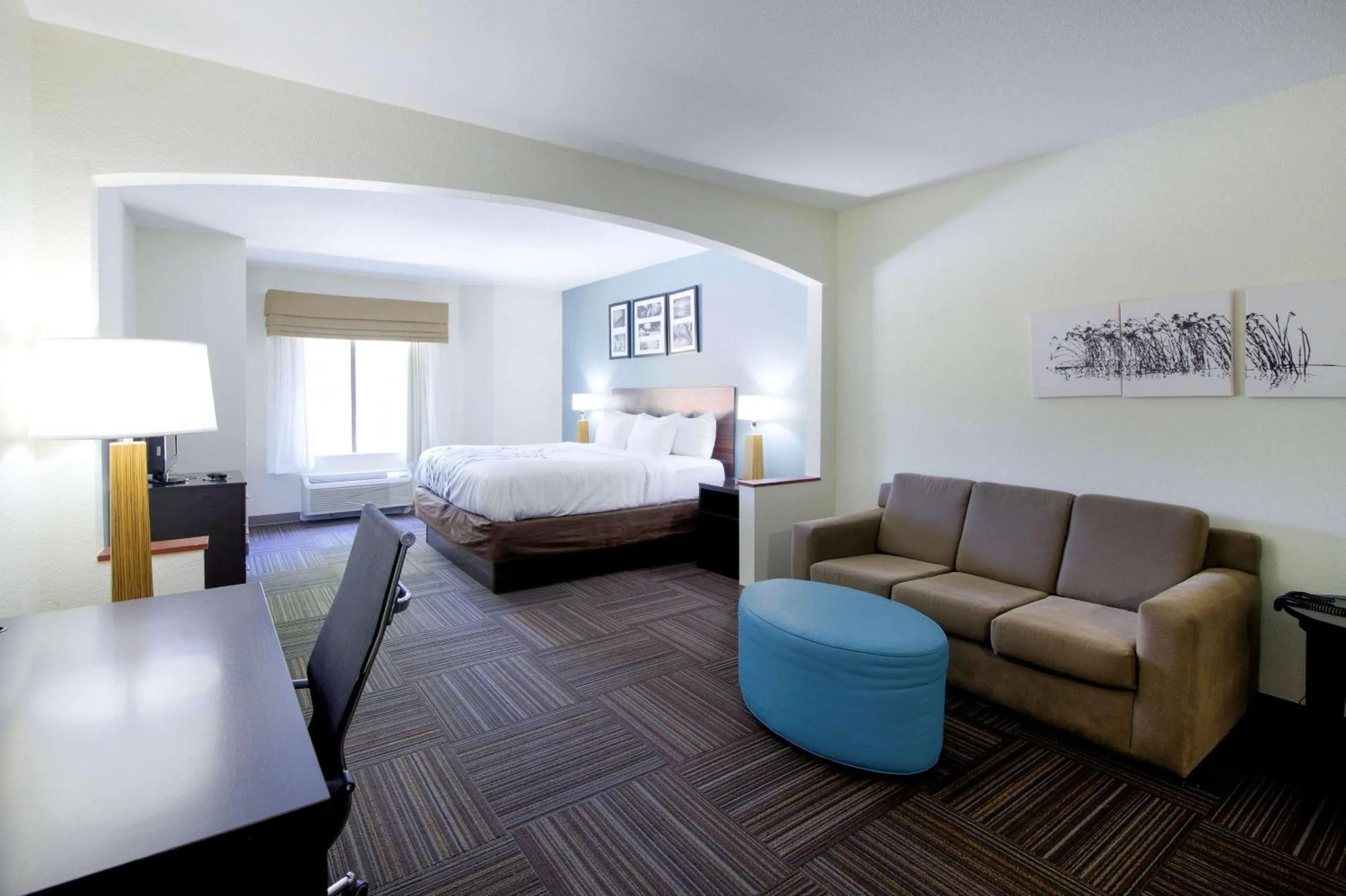 Photo of the whole room, Bed in Sleep Inn & Suites Chesapeake - Portsmouth