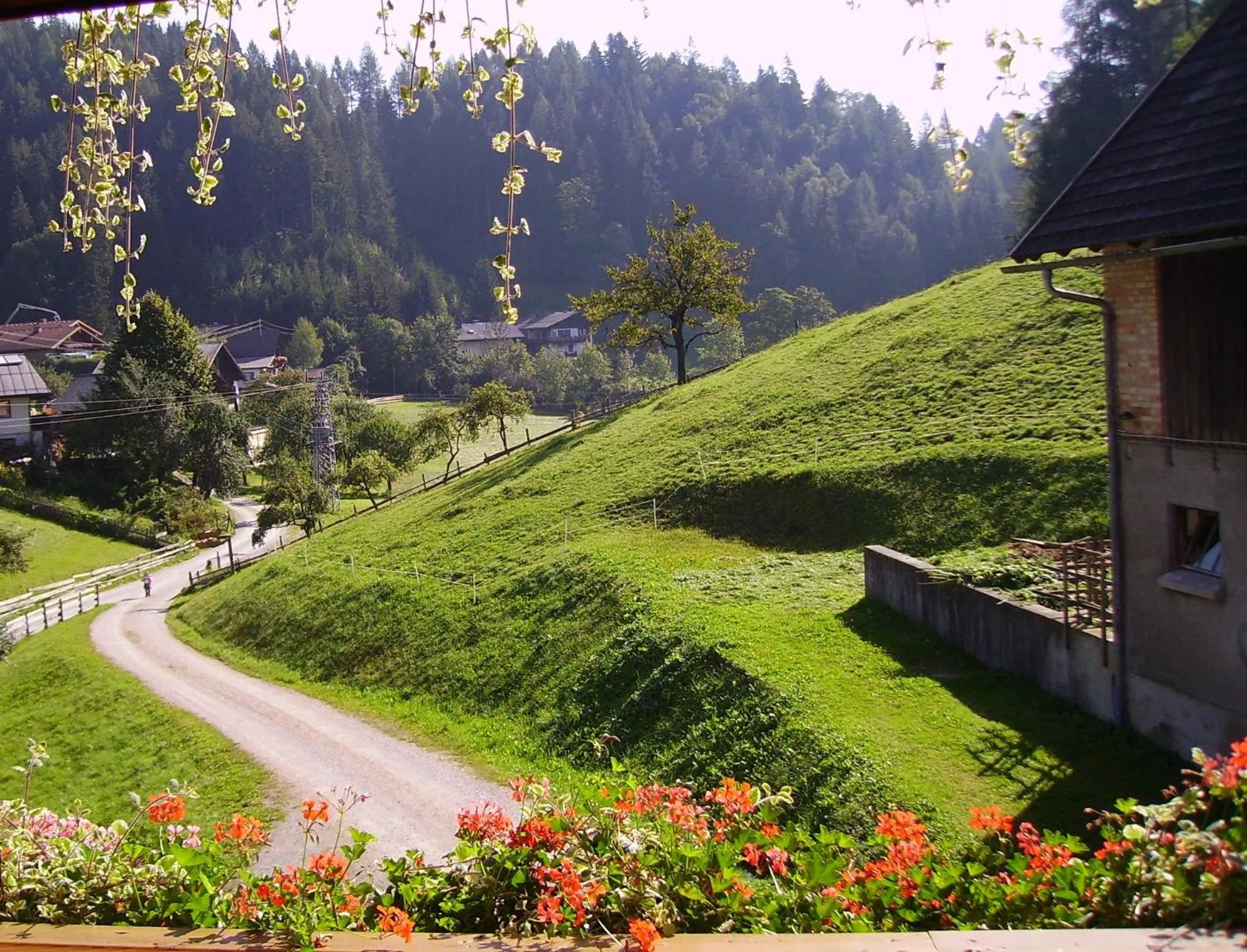Natural landscape in Mittergruberhof