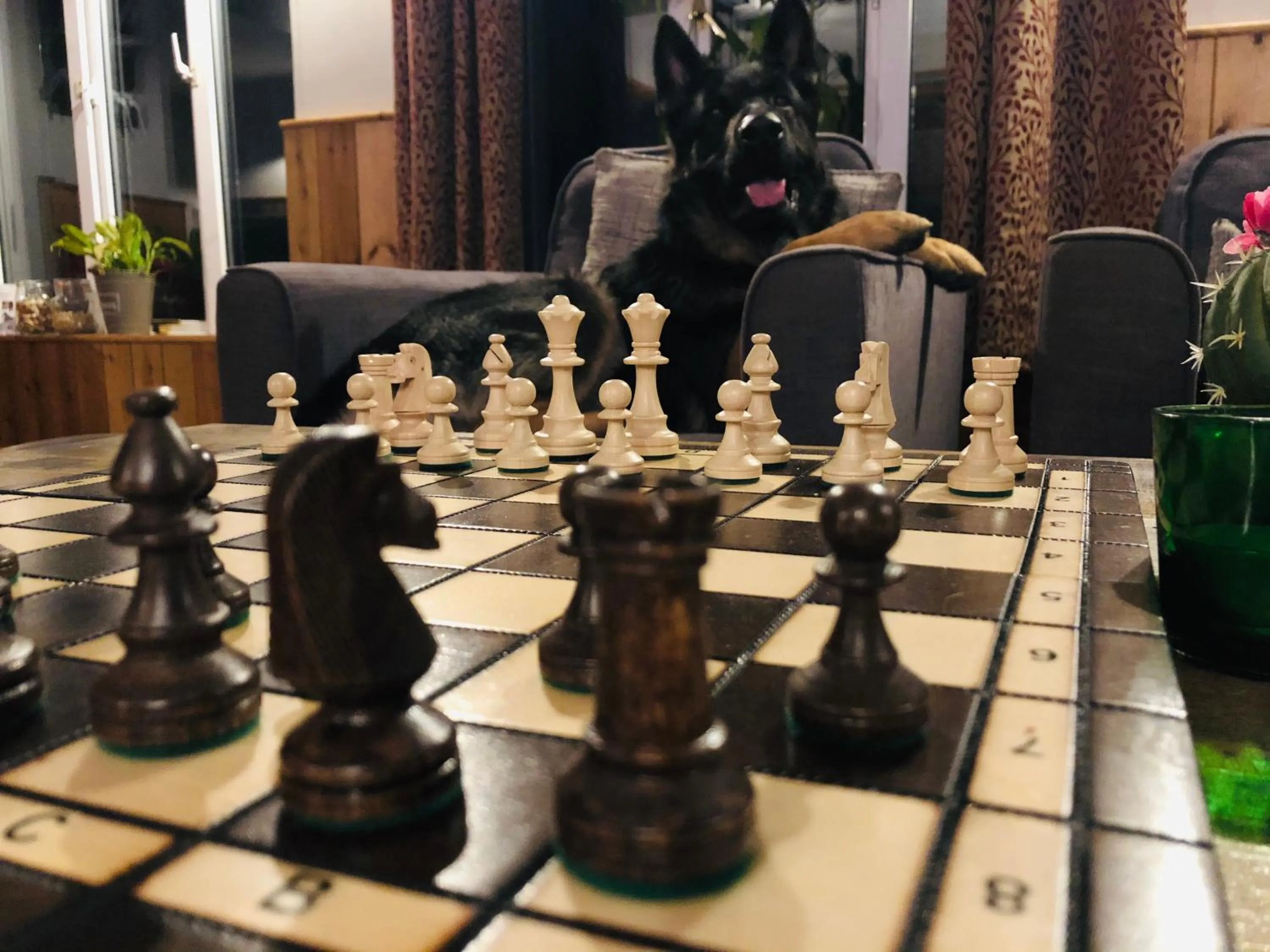 Game Room in The Inn on the Moor Hotel