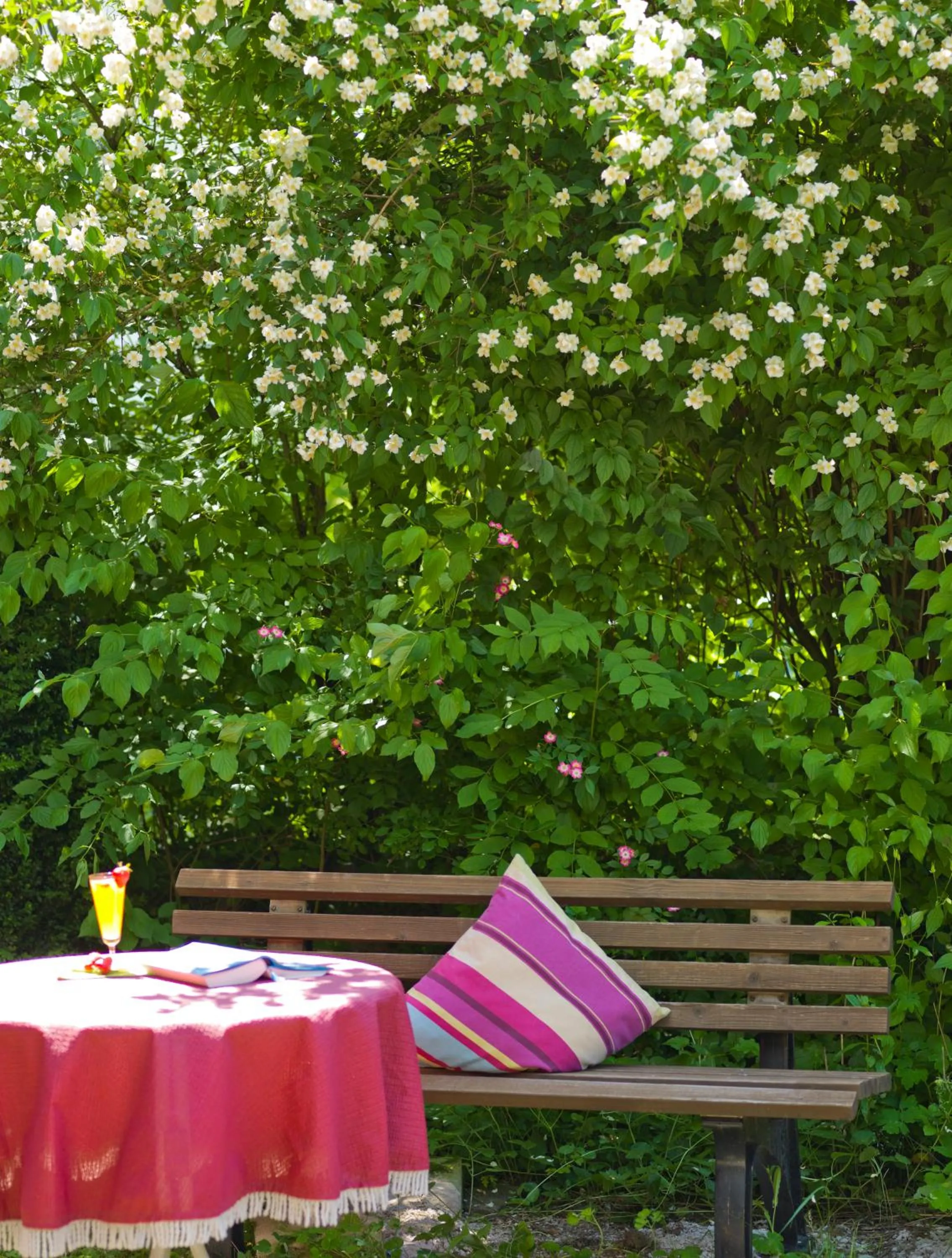 Garden in Hotel Garni Vier Jahreszeiten