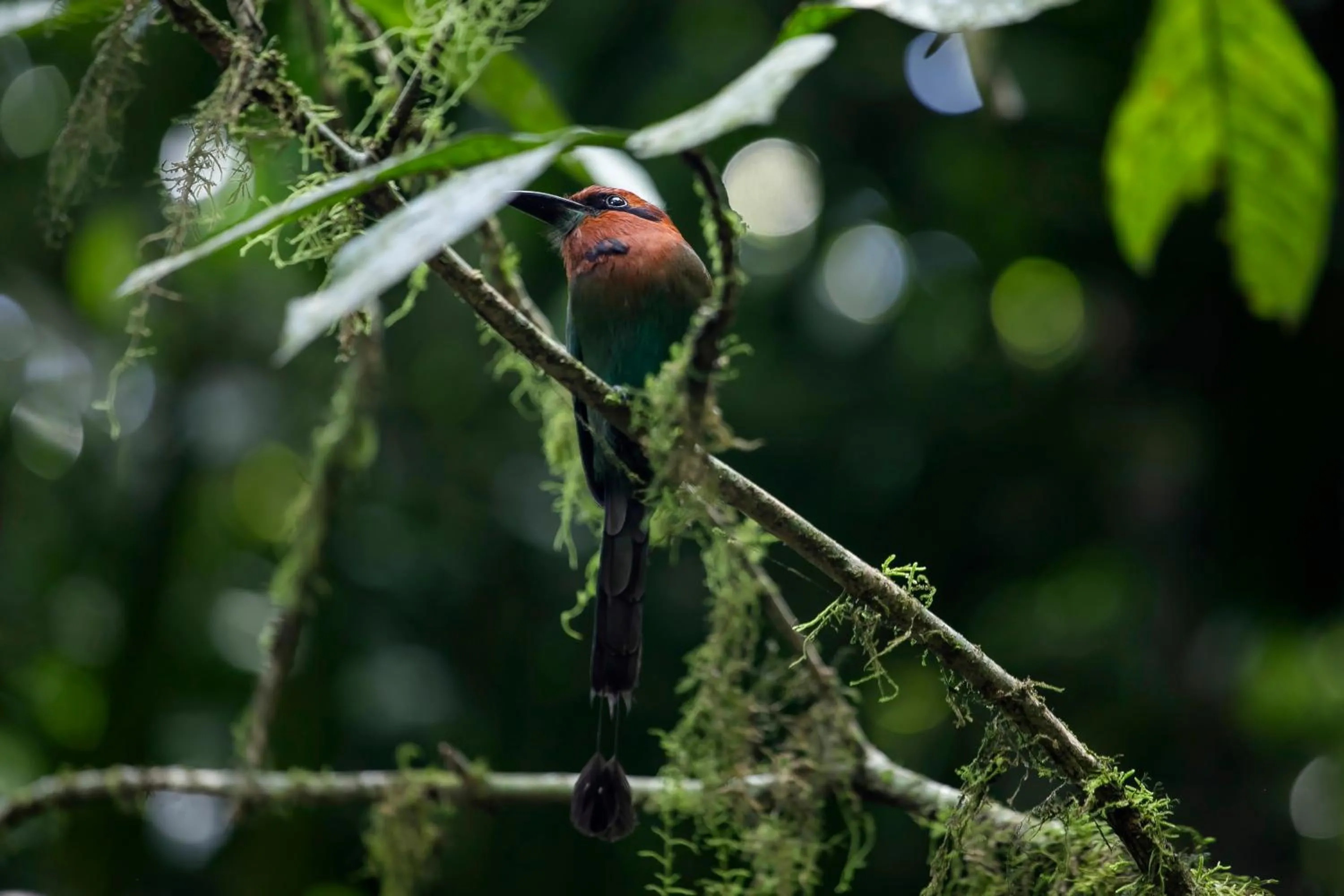 Day in Sangregado Lodge