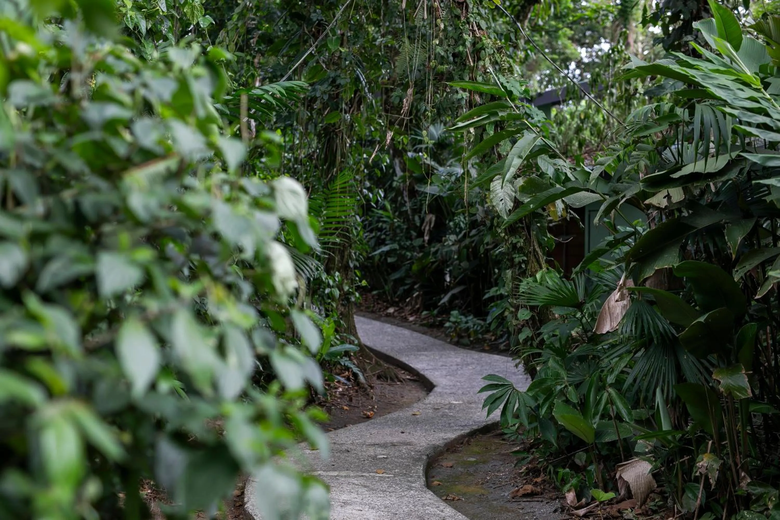 Hiking in Sangregado Lodge