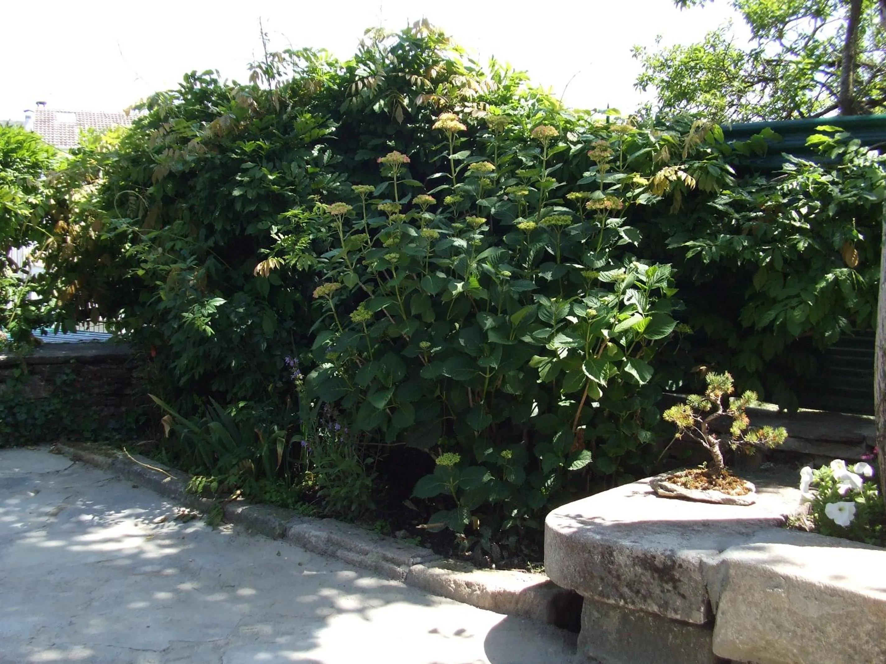 Patio in Obradoiro