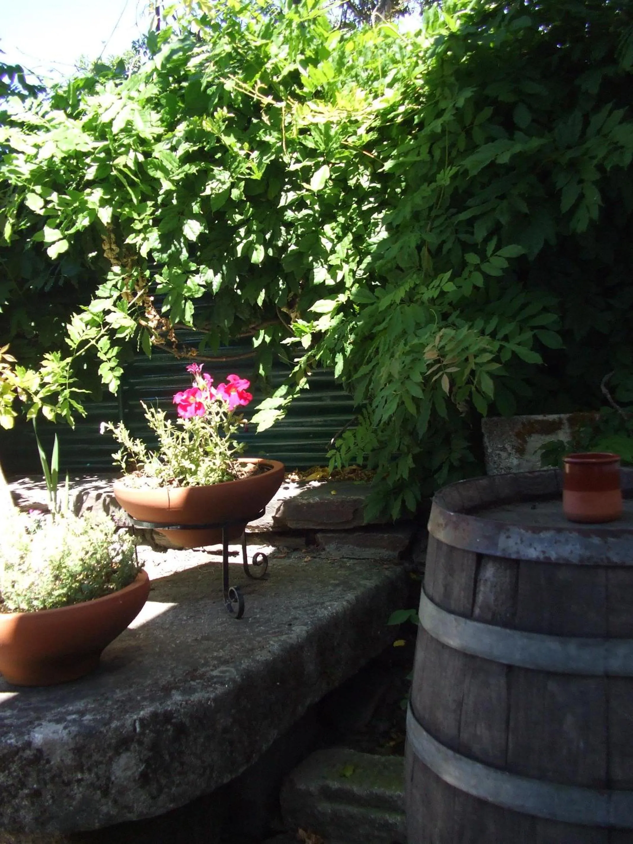 Patio in Obradoiro