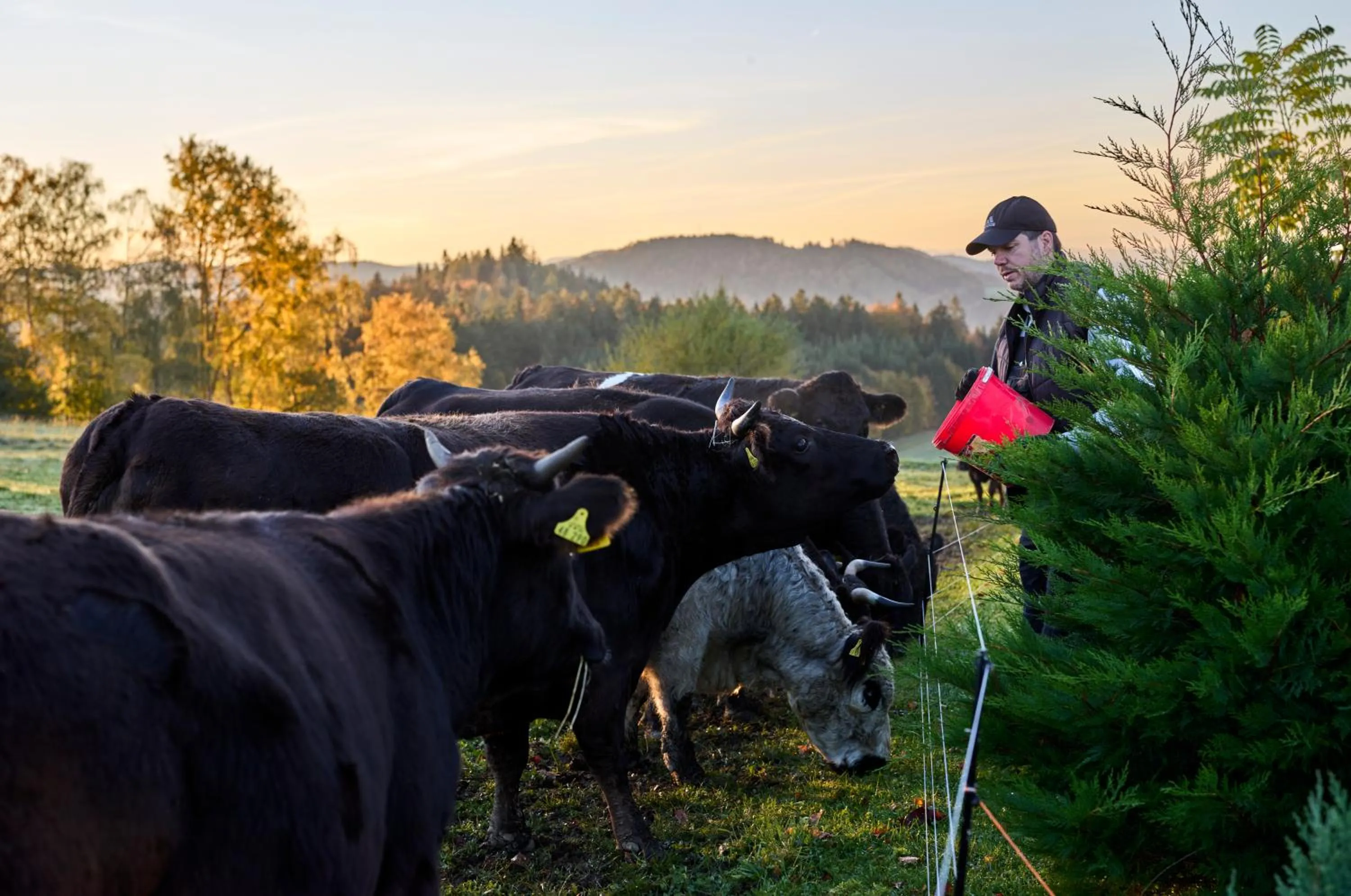 Natural landscape in Panoramahotel Grobauer