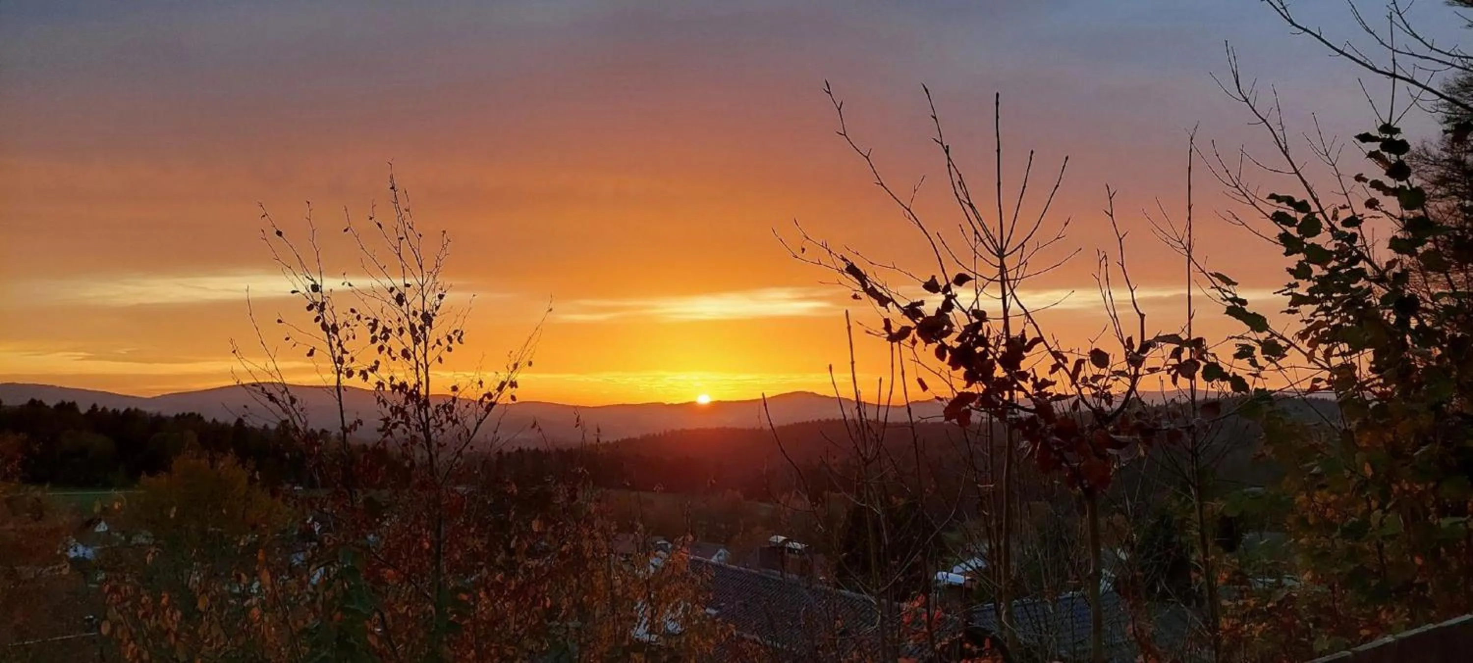 View (from property/room) in Panoramahotel Grobauer