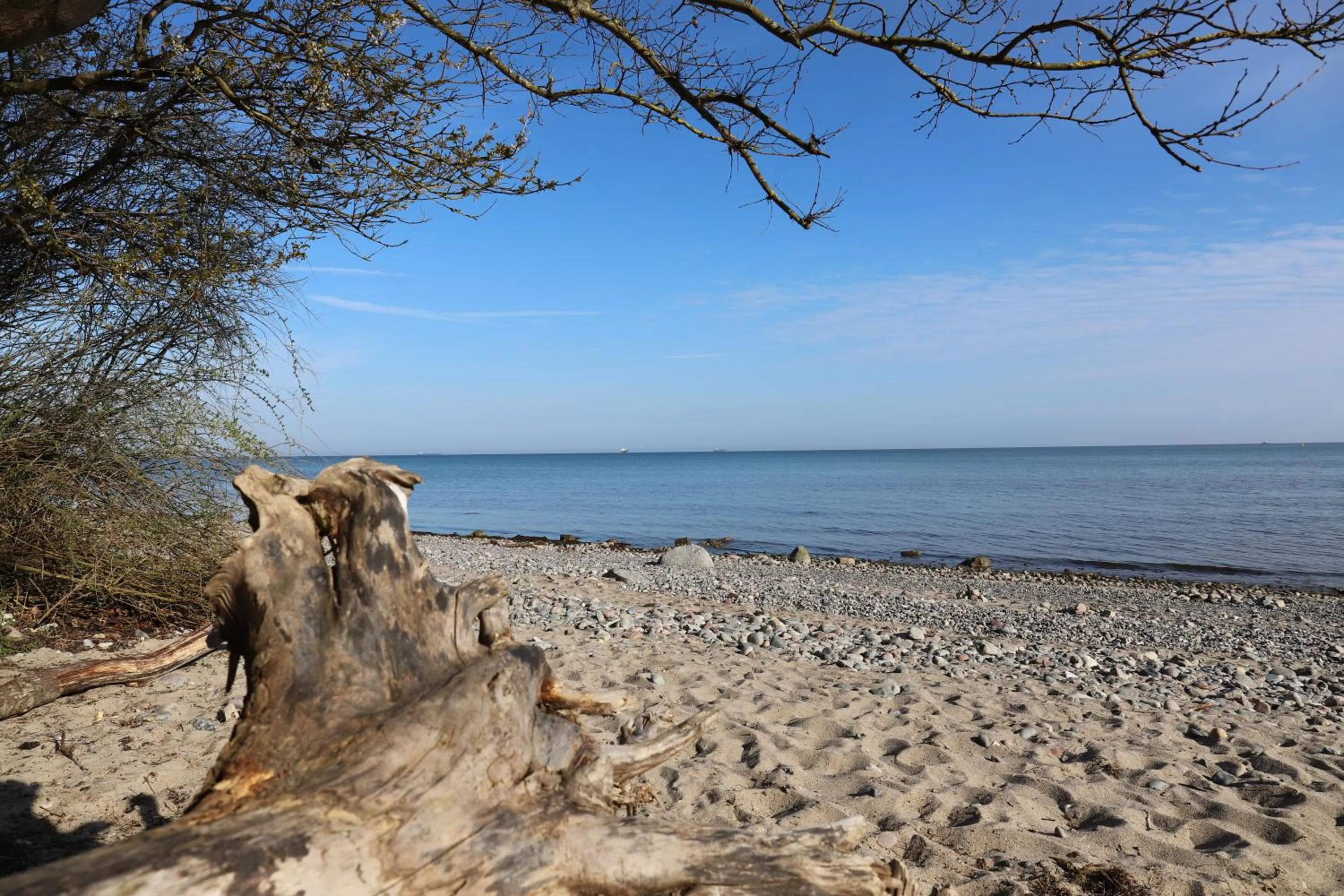 Natural landscape in Hotel Wilhelmshöhe