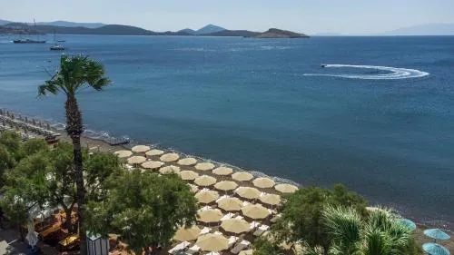 AÇELYA OTEL