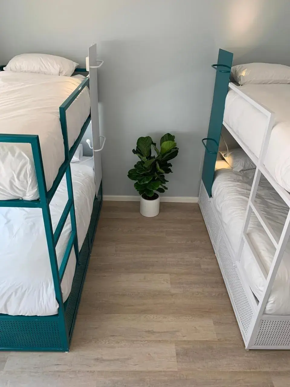 Bunk Bed in Male Dormitory in CURIOCITY Green Point Bunk Bed in Male Dormitory in CURIOCITY Green Point