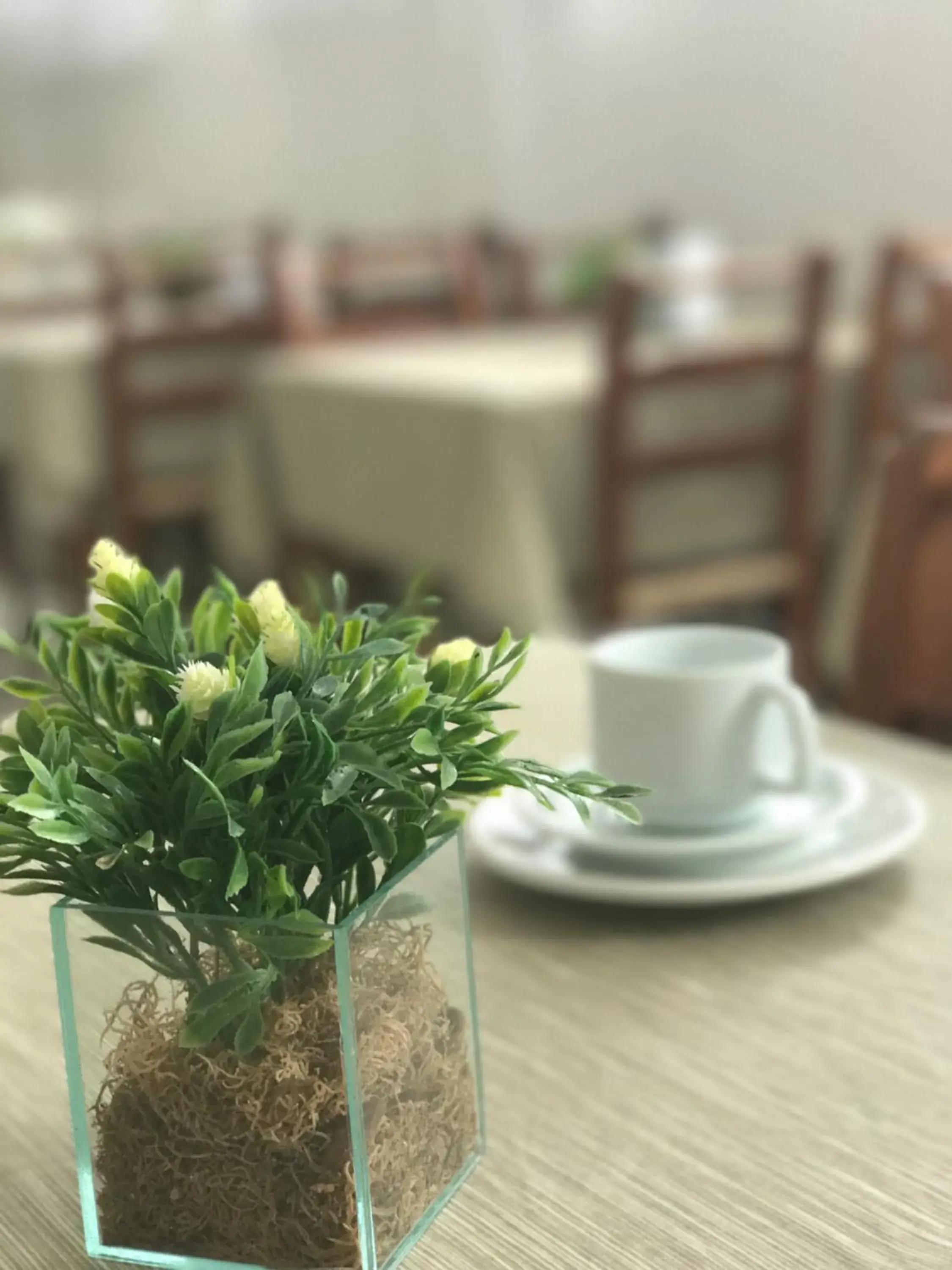 Restaurant/places to eat in Hotel Lorimar Restaurant/places to eat in Hotel Lorimar