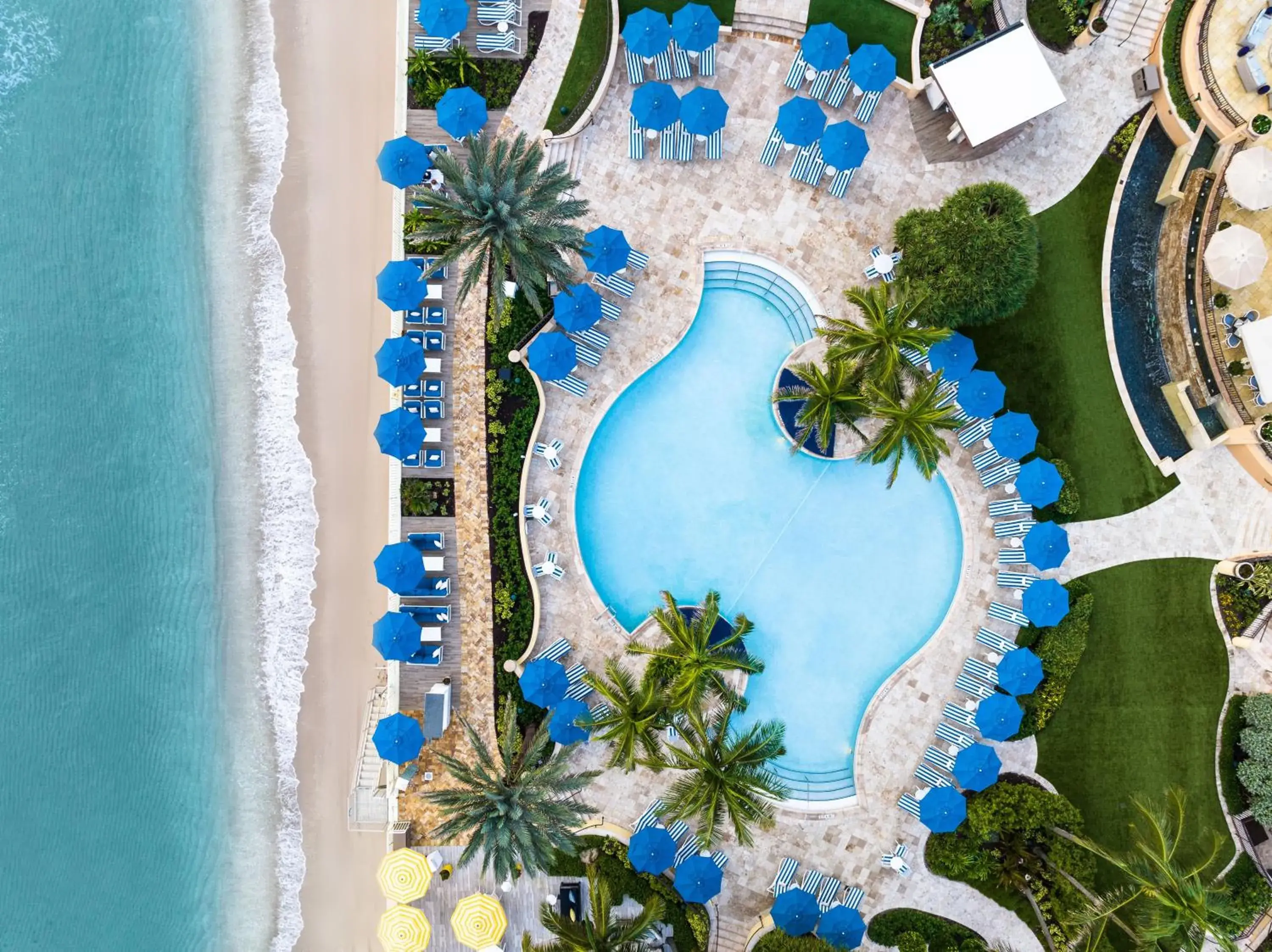 Swimming pool in Eau Palm Beach Resort & Spa Swimming pool in Eau Palm Beach Resort & Spa