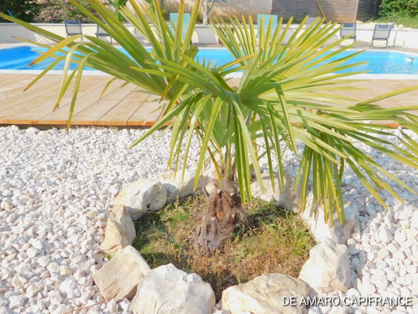 Pool view in Le Puits de Garival