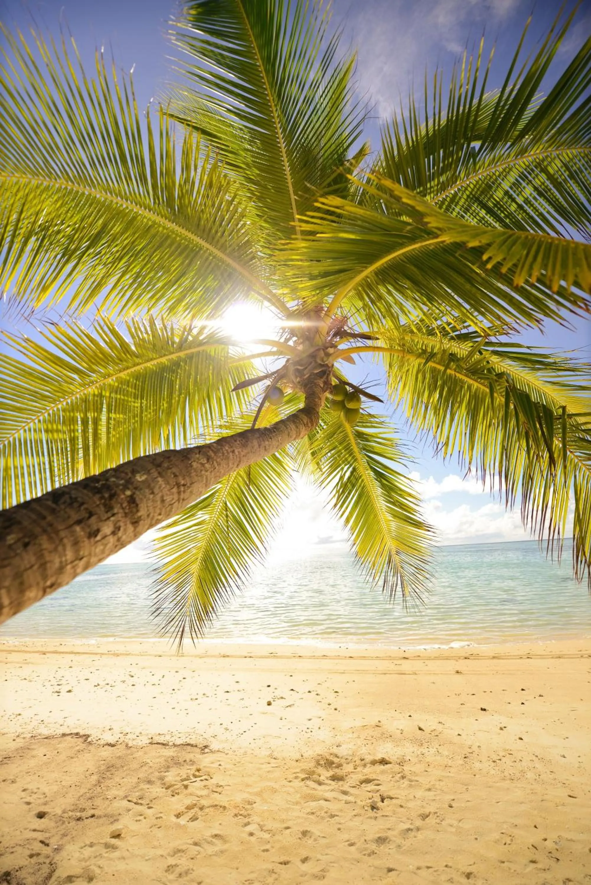 Beach in Tamanu Beach