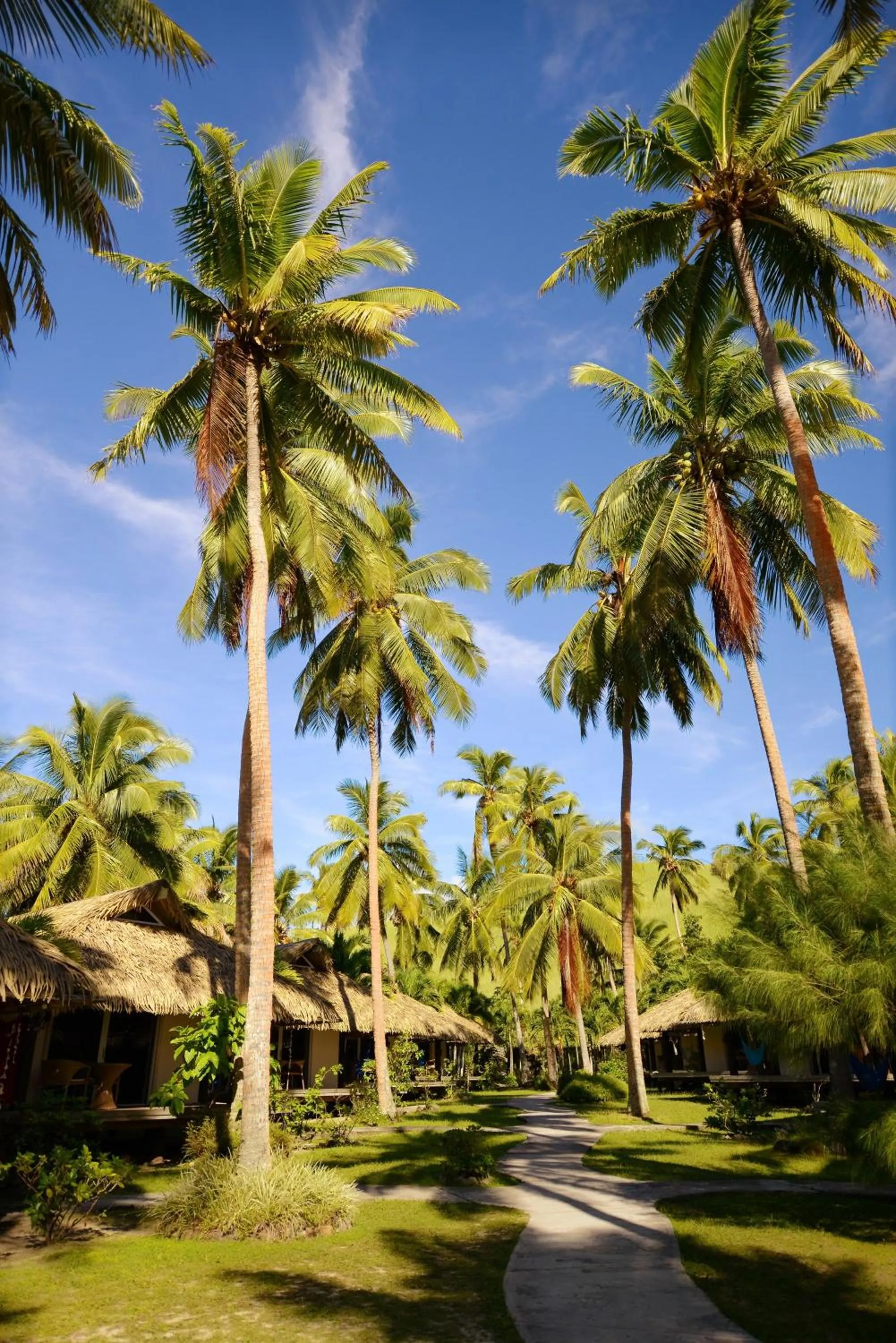 Garden in Tamanu Beach