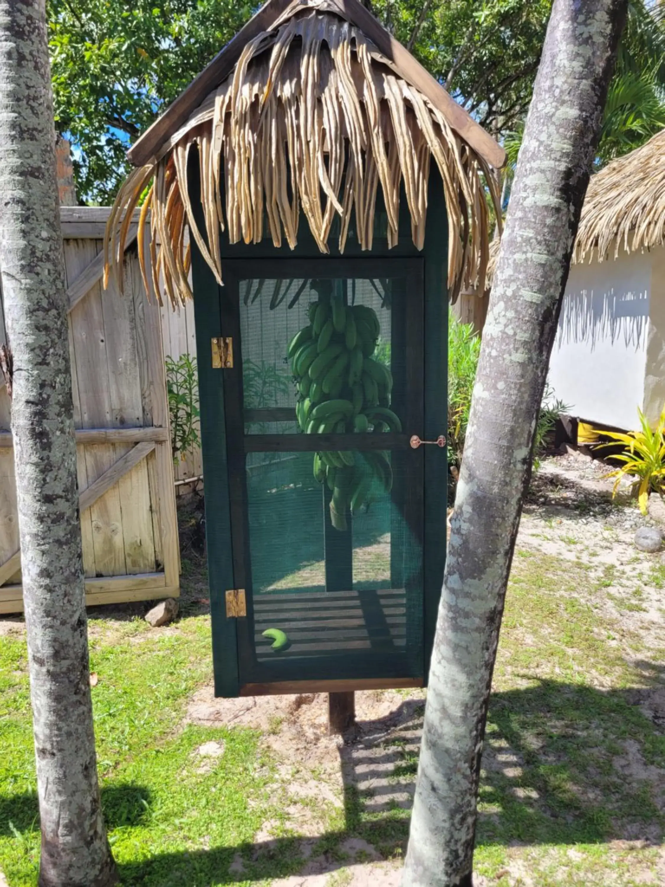Garden view in Tamanu Beach Garden view in Tamanu Beach