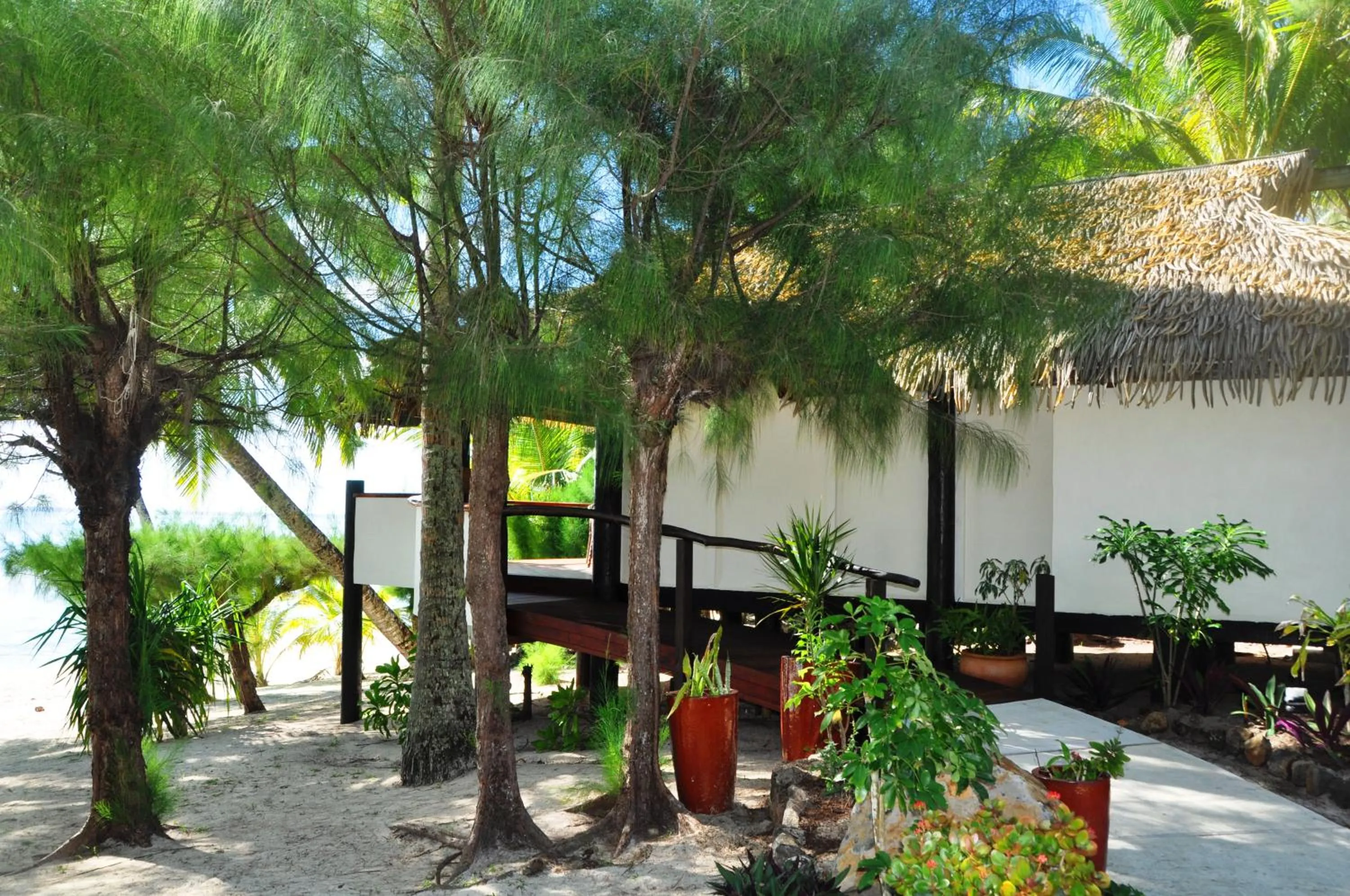 Garden in Tamanu Beach