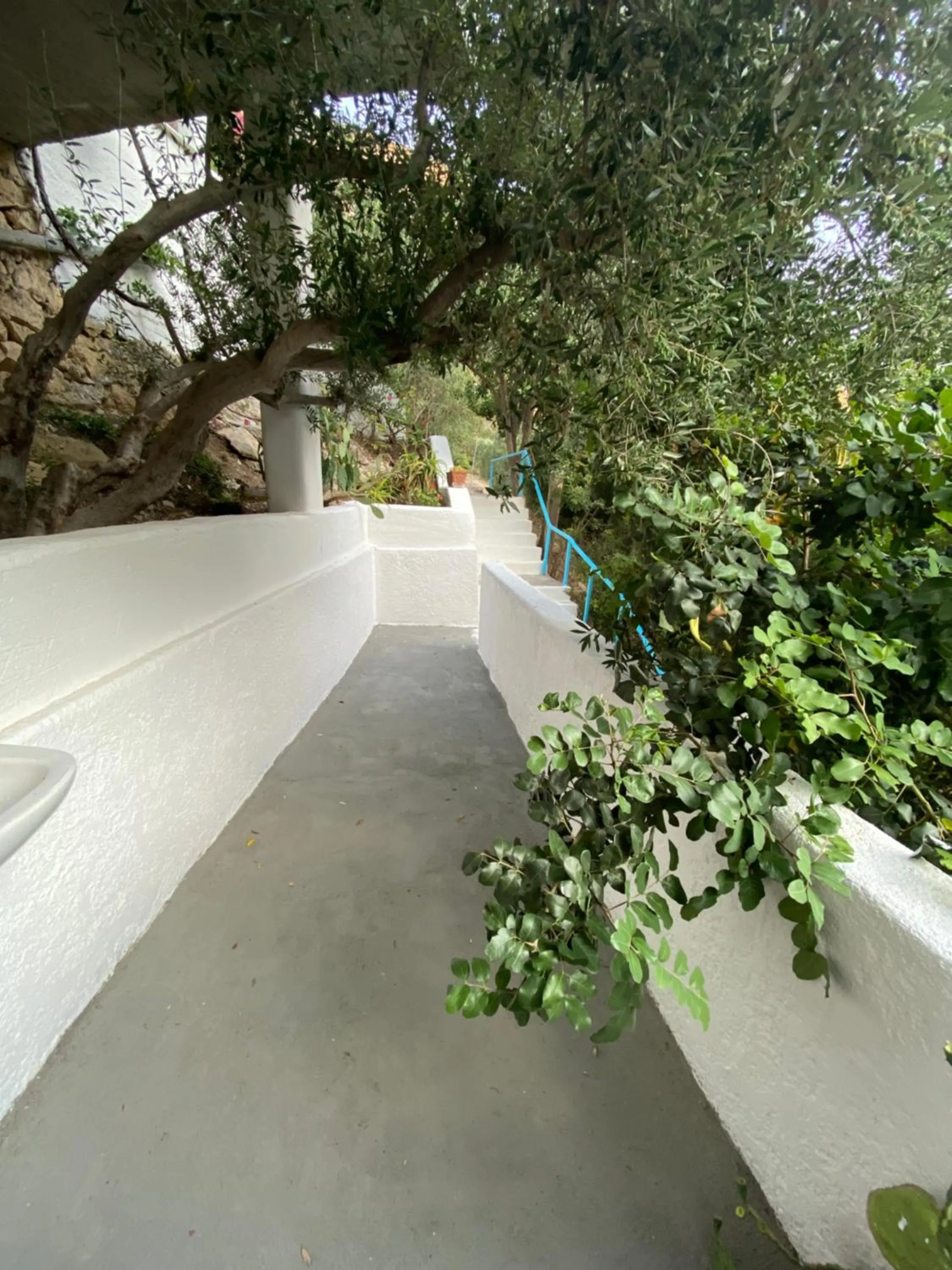Facade/entrance in Oleander's Garden Traditional Cretan Cottage