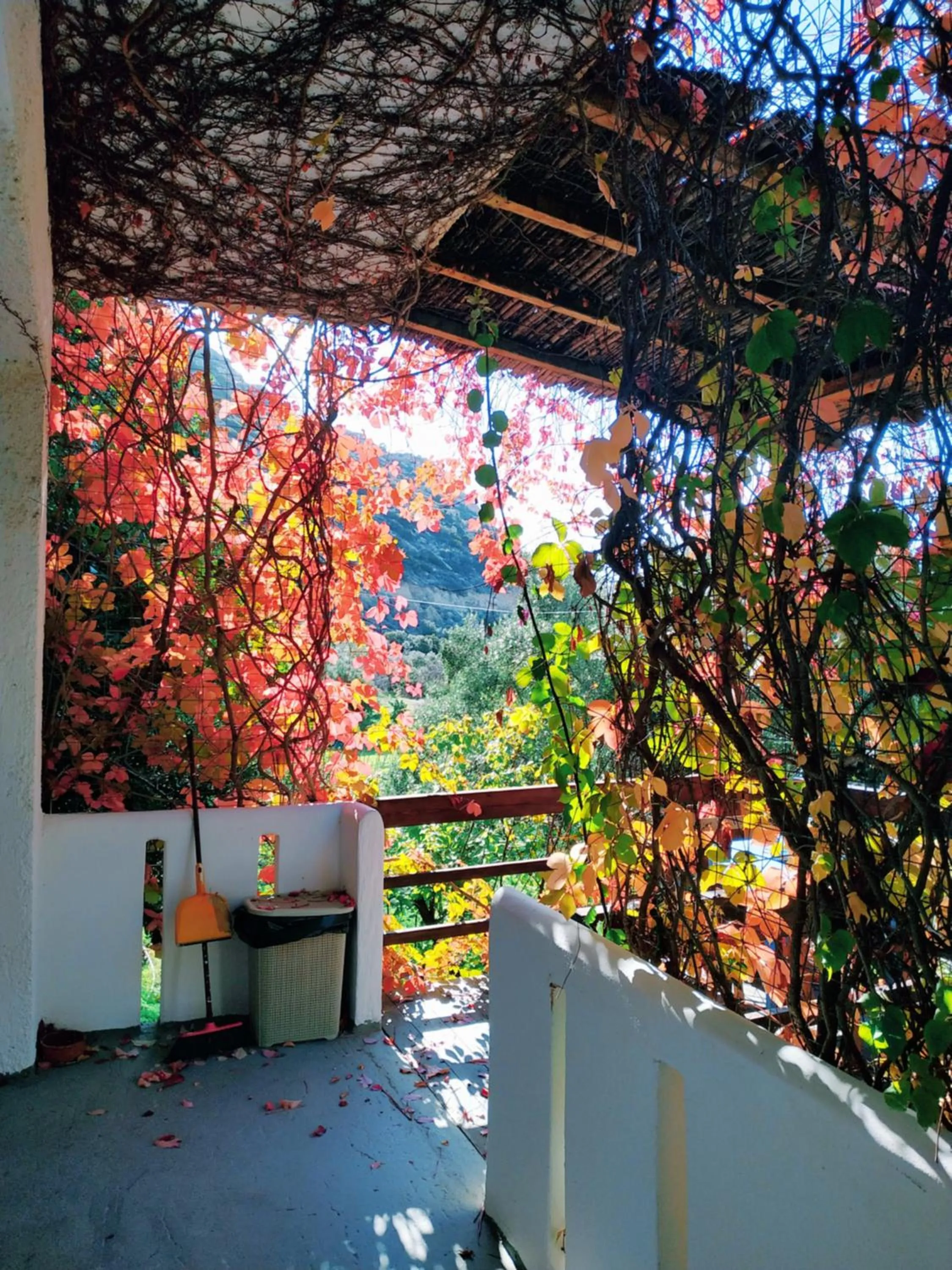 Oleander's Garden Traditional Cretan Cottage