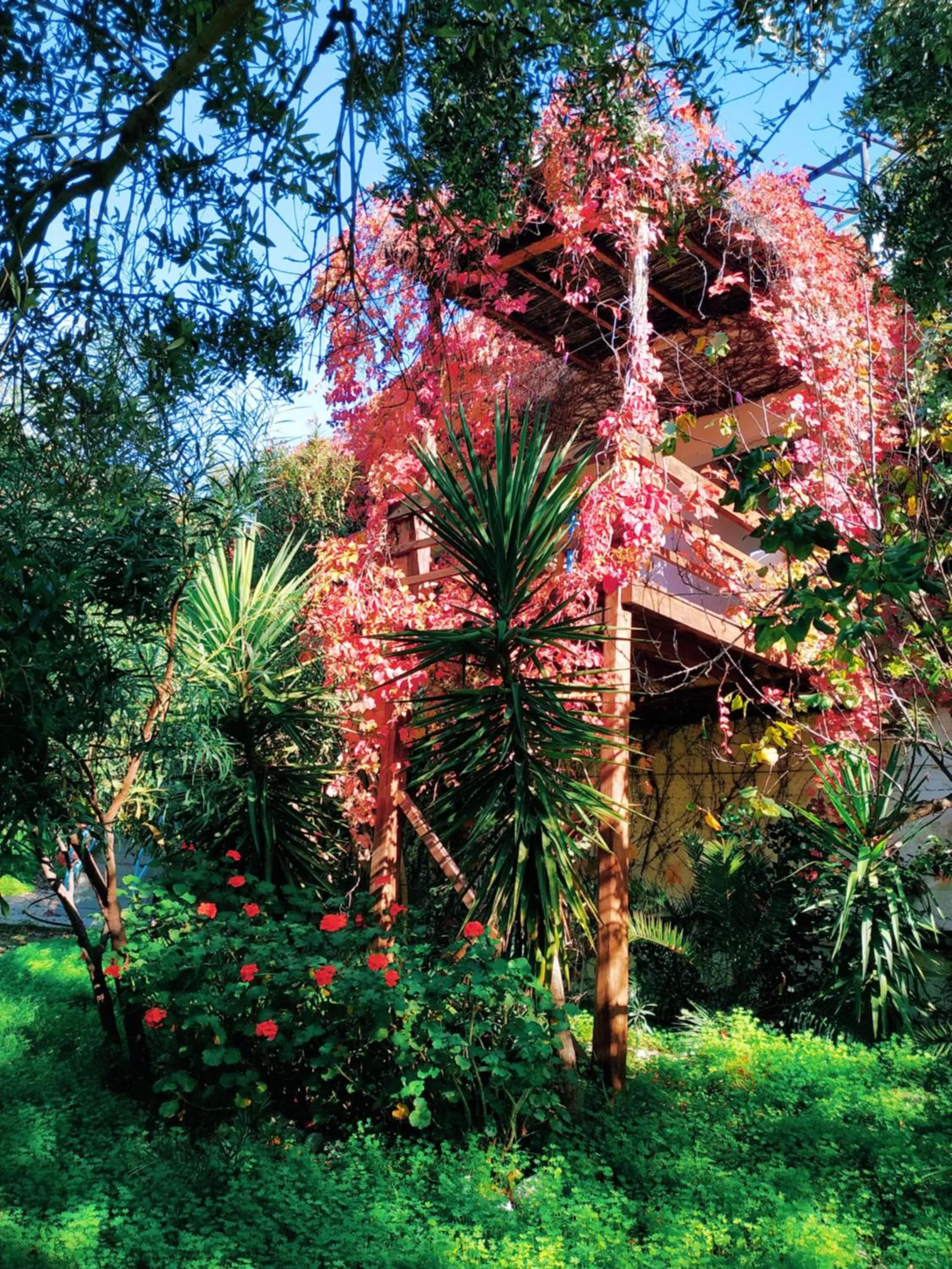 Oleander's Garden Traditional Cretan Cottage