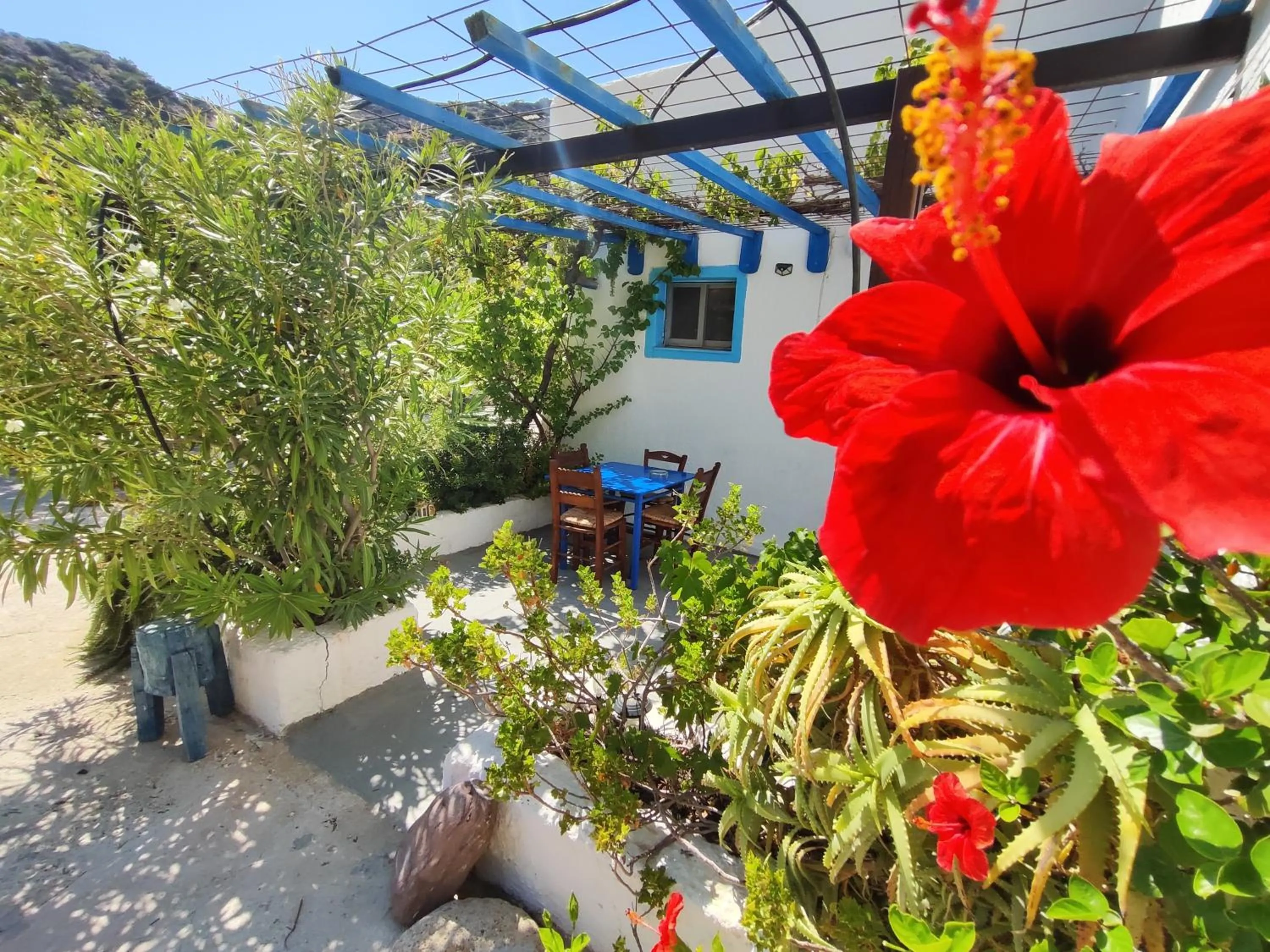 Oleander's Garden Traditional Cretan Cottage
